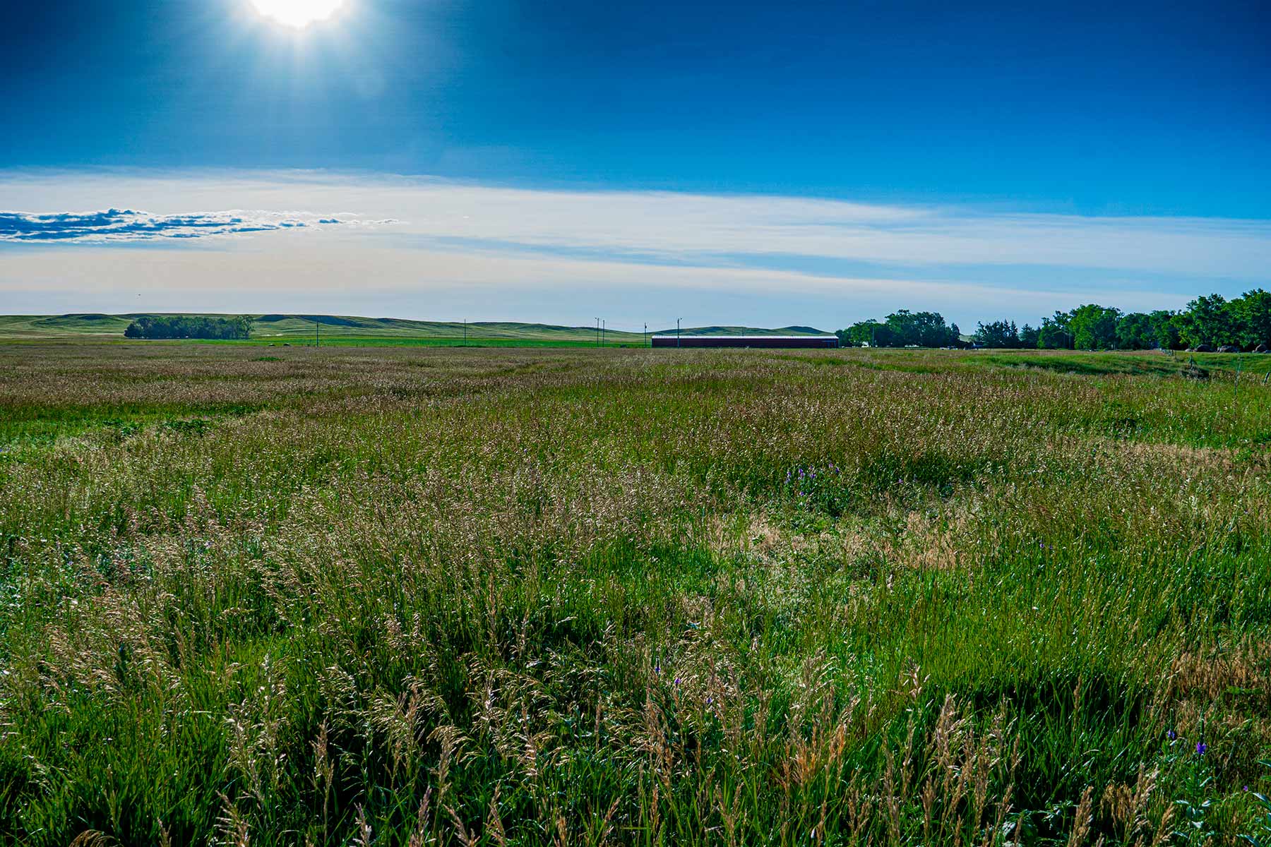 Minnechaduza Creek Ranch property picture 73 of 100