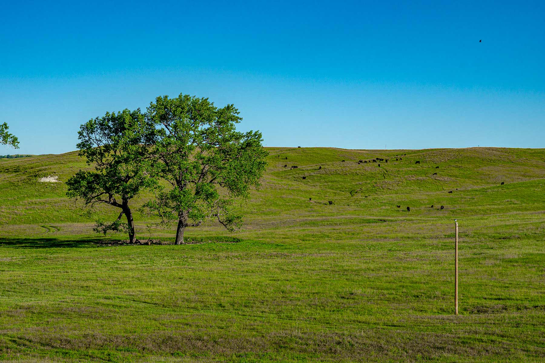 Minnechaduza Creek Ranch property picture 80 of 100