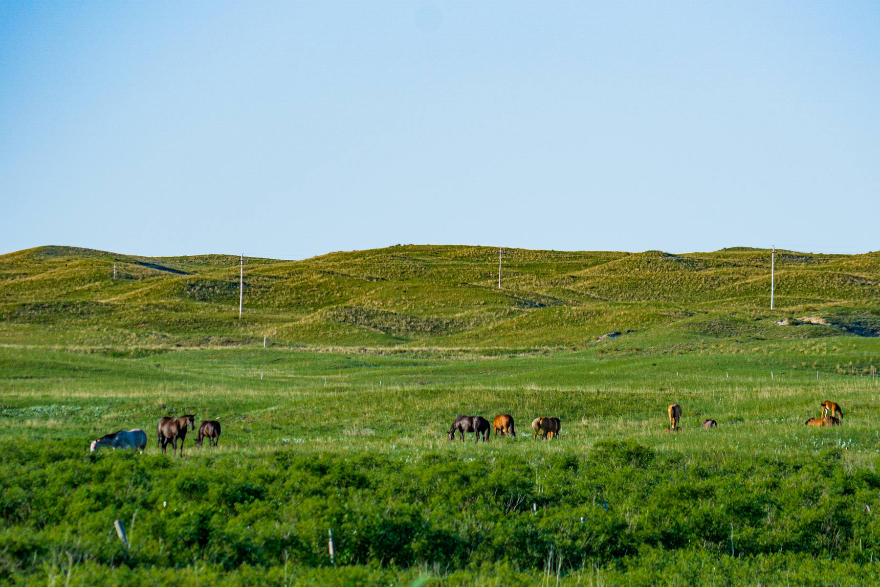 Minnechaduza Creek Ranch property picture 70 of 100