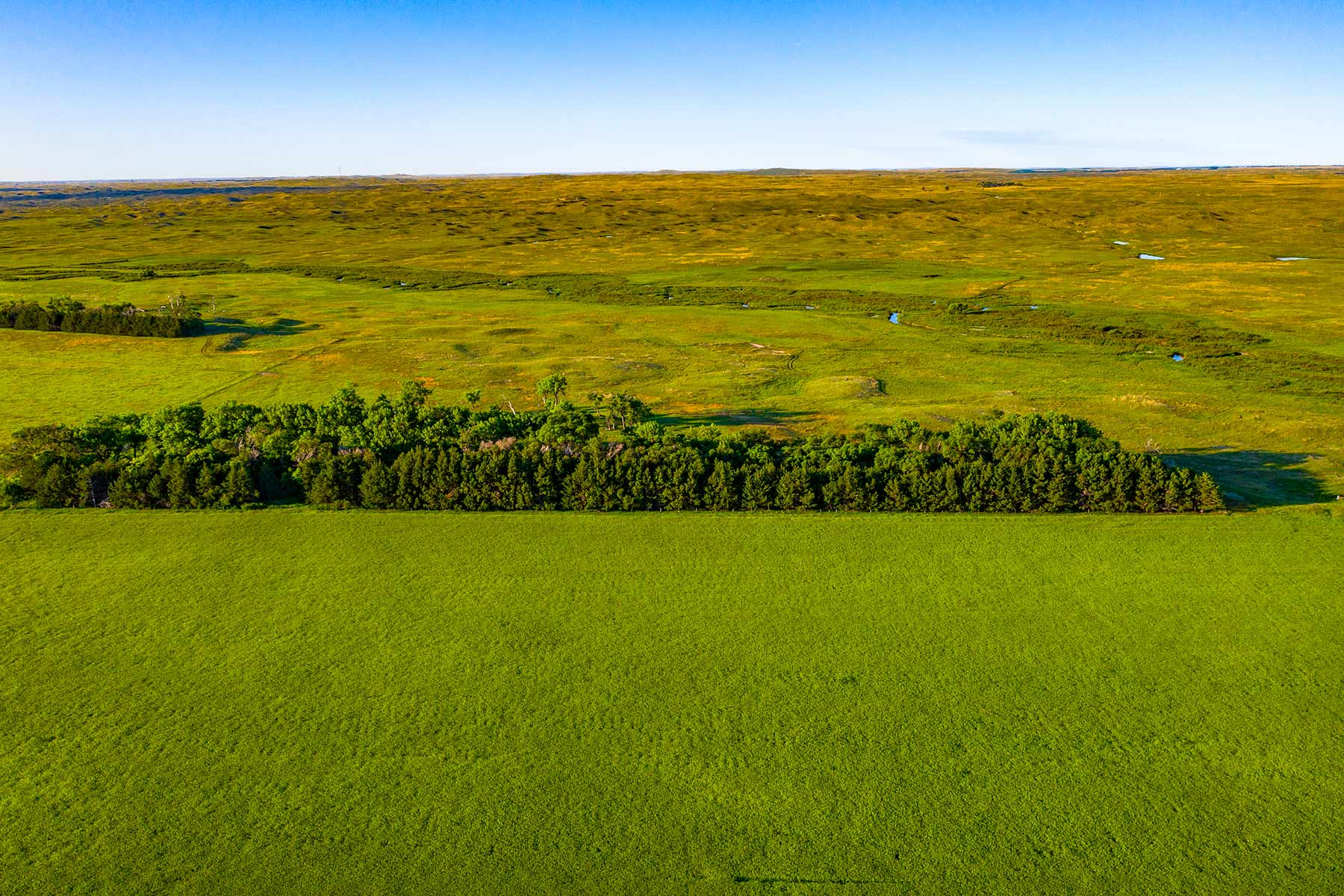 Minnechaduza Creek Ranch property picture 38 of 100