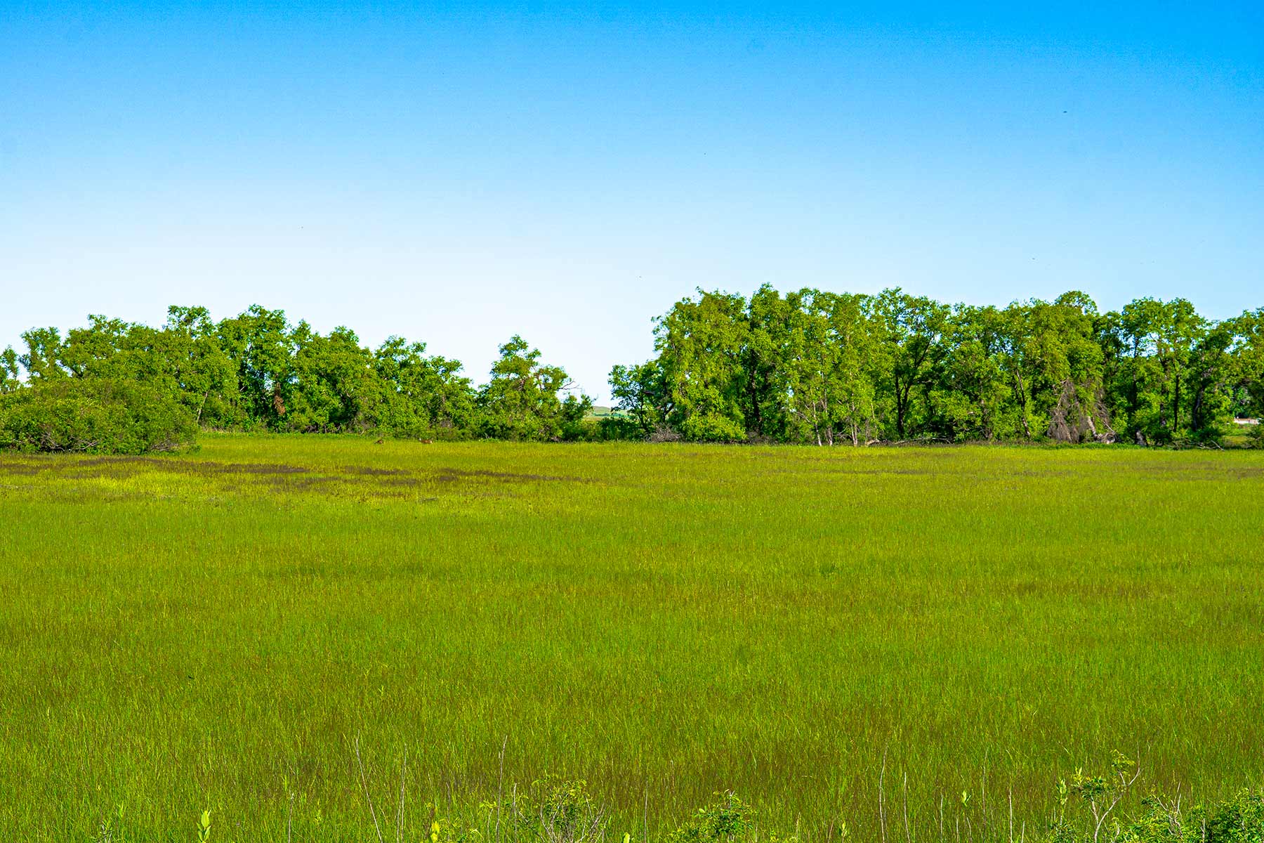 Minnechaduza Creek Ranch property picture 94 of 100