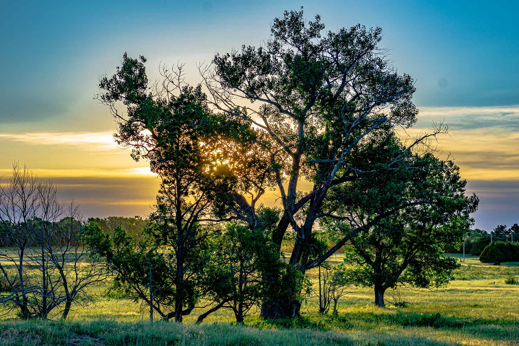 Minnechaduza Creek Ranch property picture 52 of 100