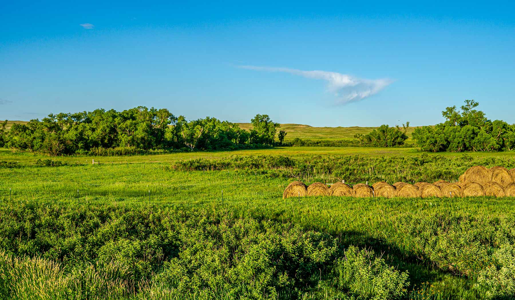 Minnechaduza Creek Ranch property picture 67 of 100