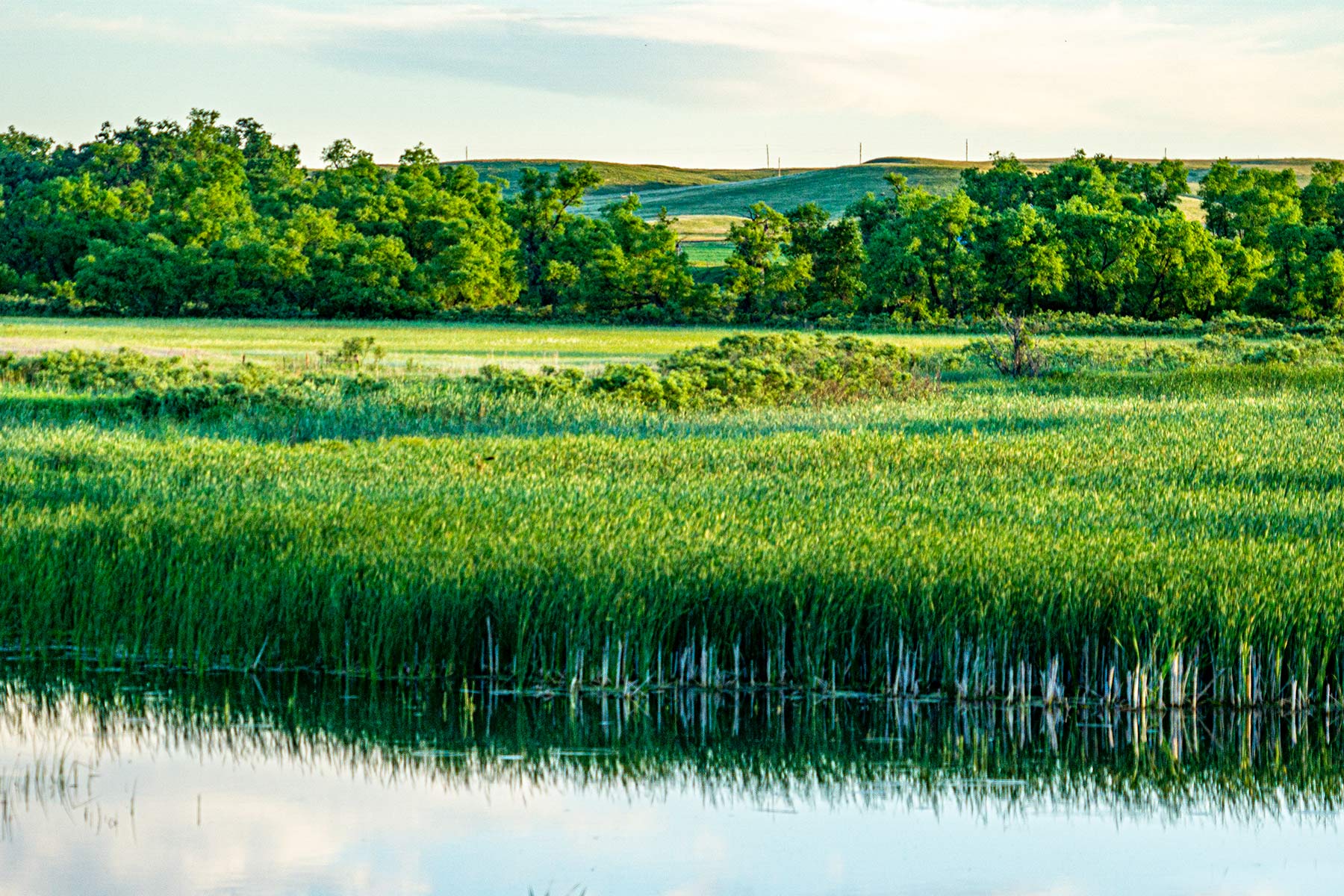 Minnechaduza Creek Ranch property picture 30 of 100