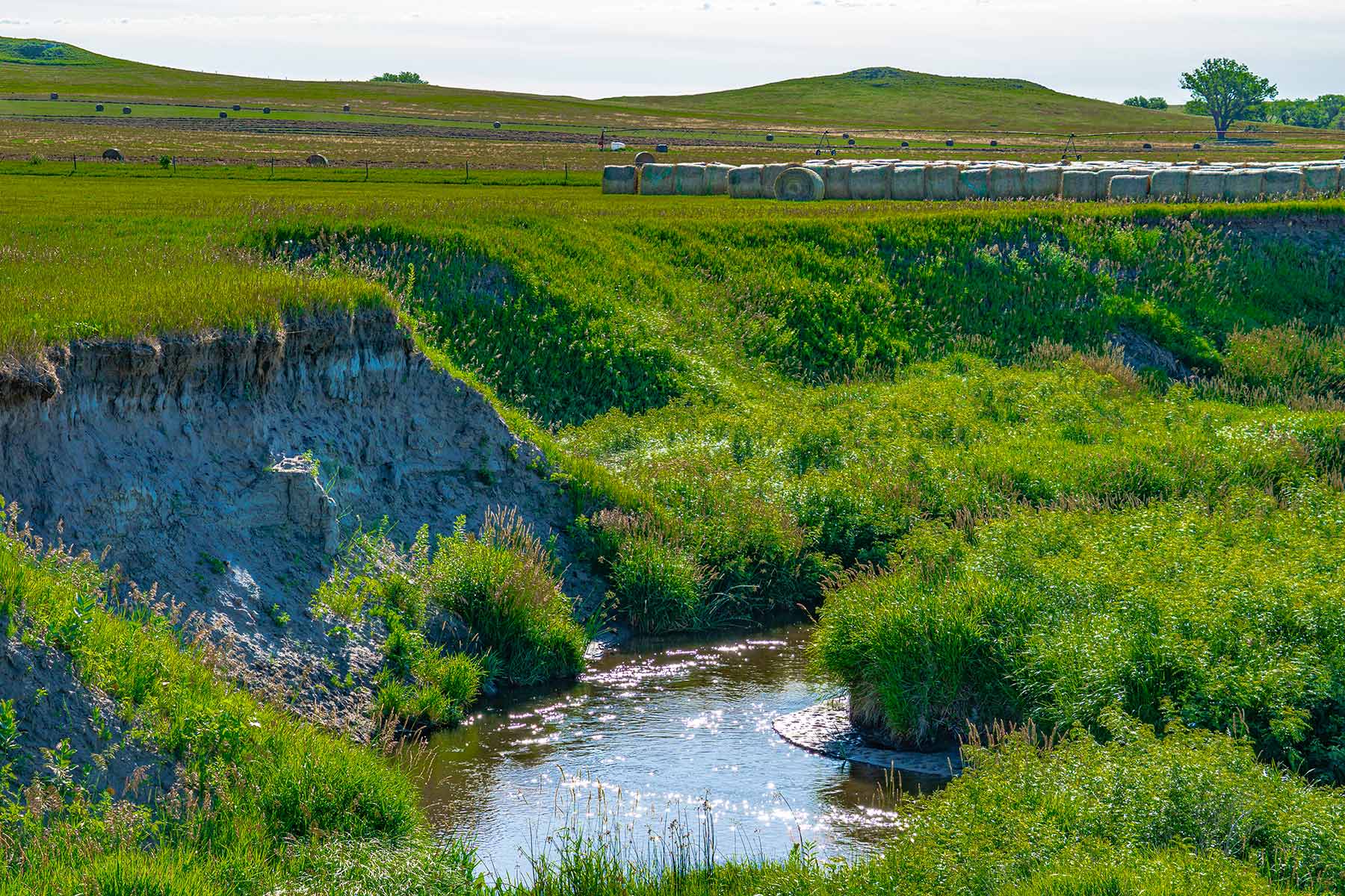Minnechaduza Creek Ranch property picture 91 of 100
