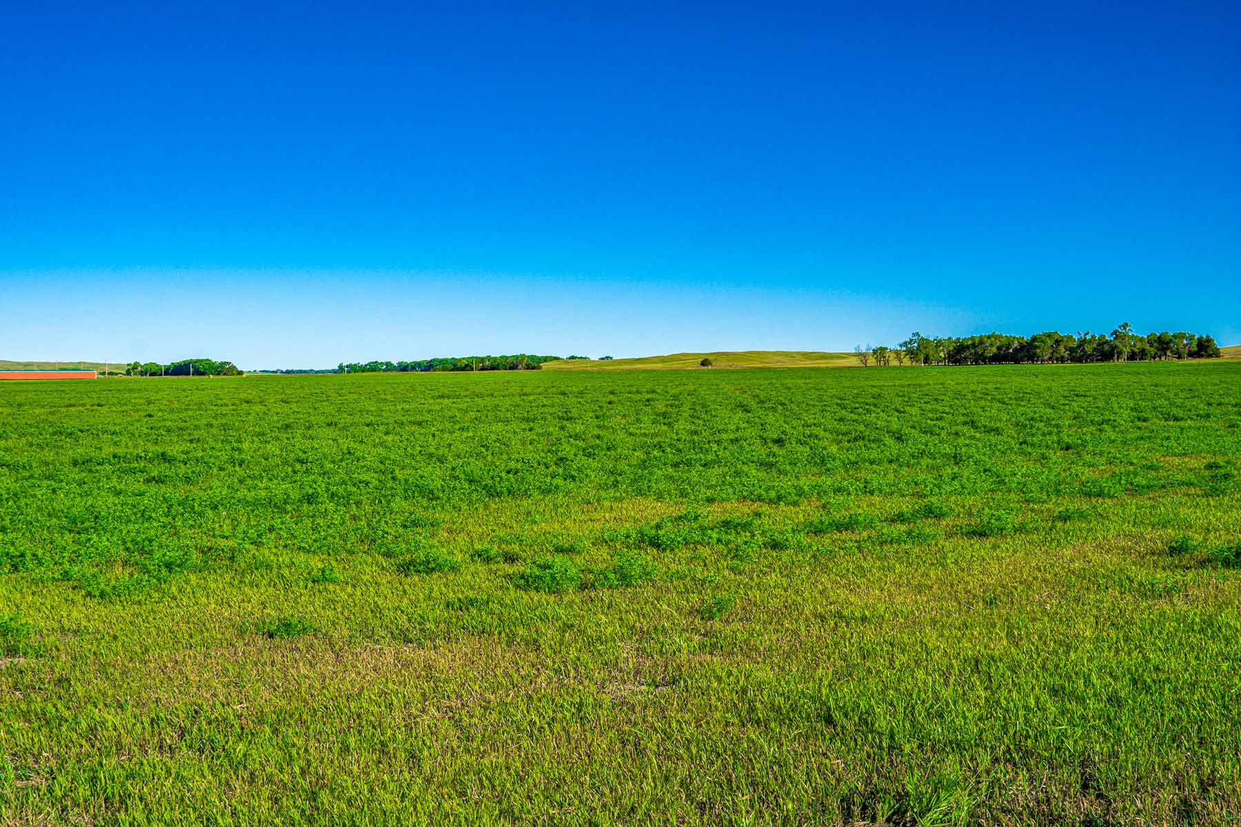 Minnechaduza Creek Ranch property picture 82 of 100