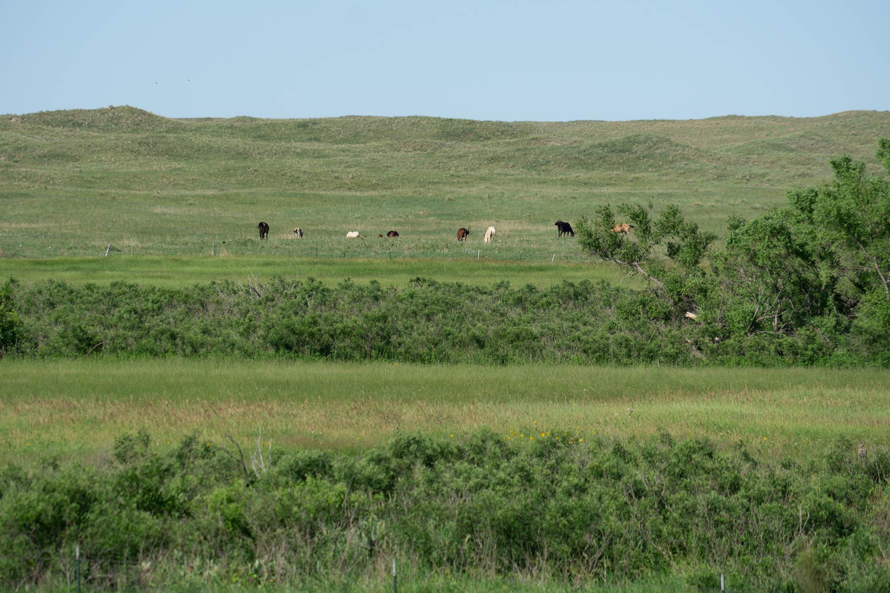 Minnechaduza Creek Ranch property picture 99 of 100
