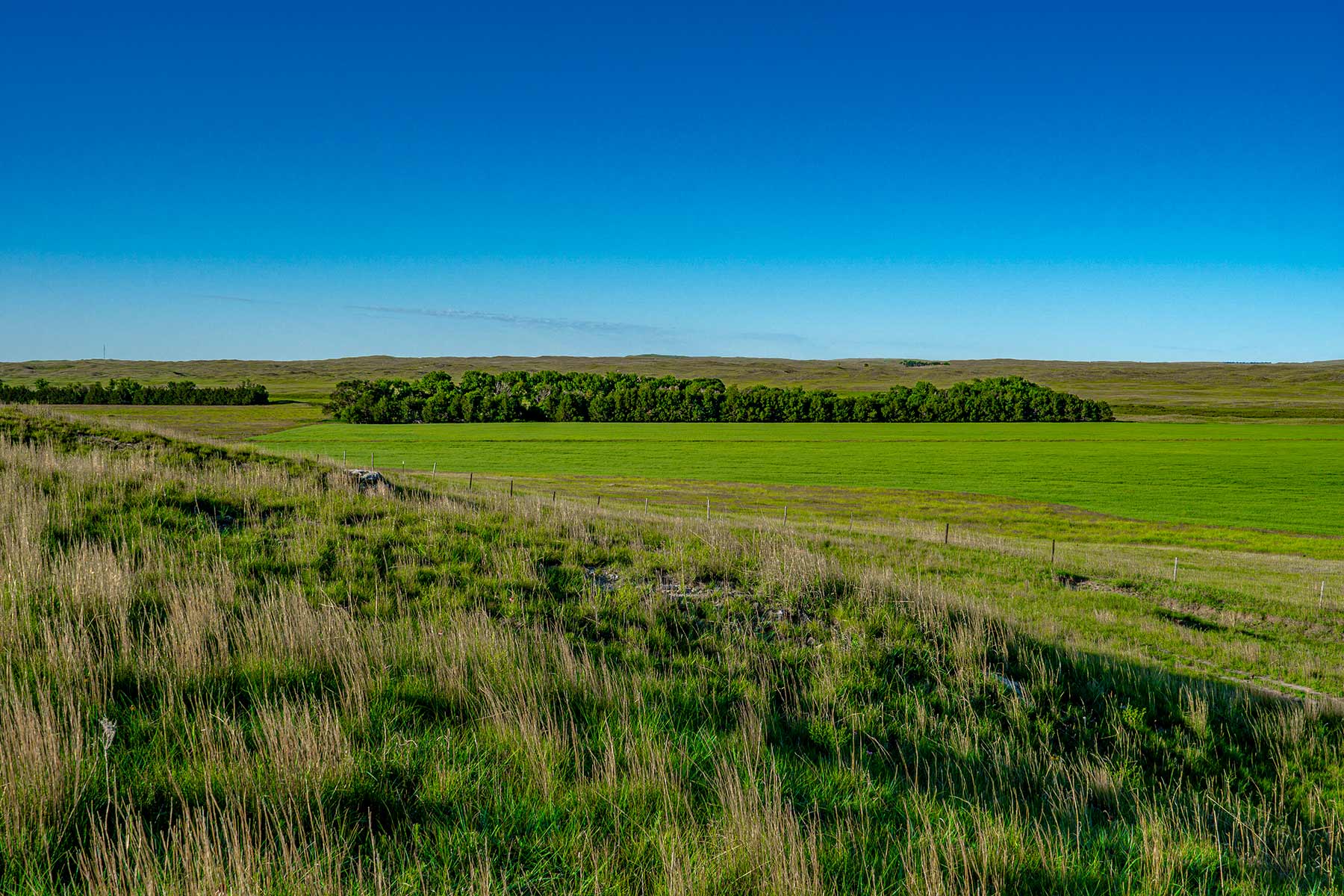 Minnechaduza Creek Ranch property picture 79 of 100