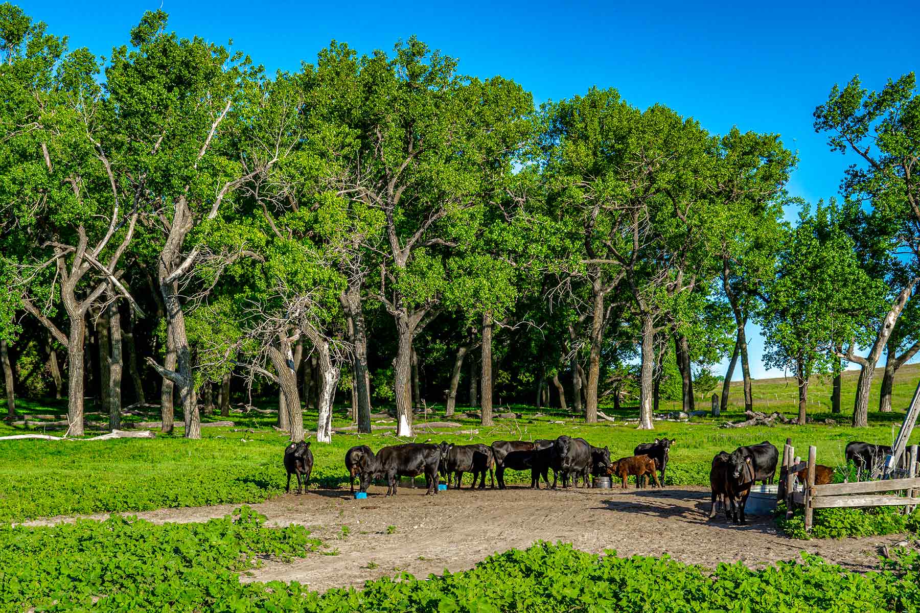 Minnechaduza Creek Ranch property picture 48 of 100