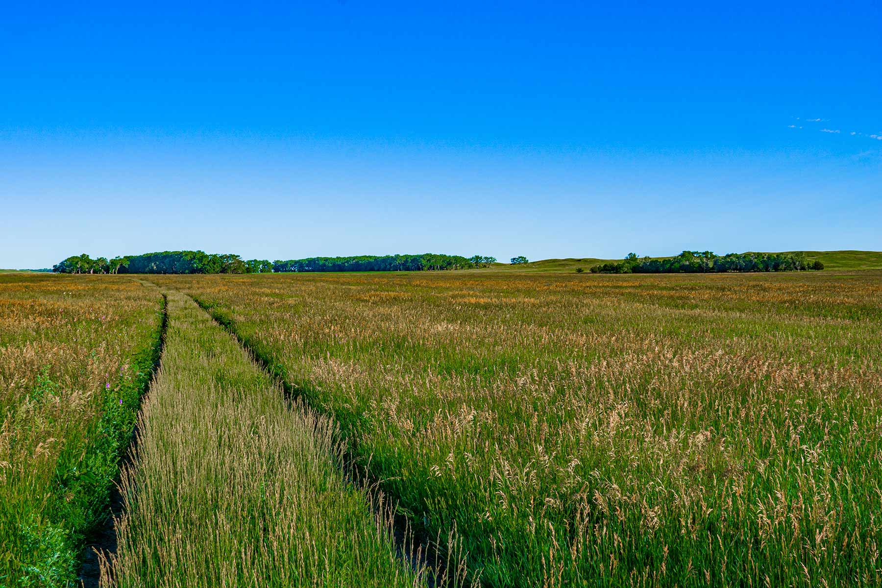 Minnechaduza Creek Ranch property picture 72 of 100