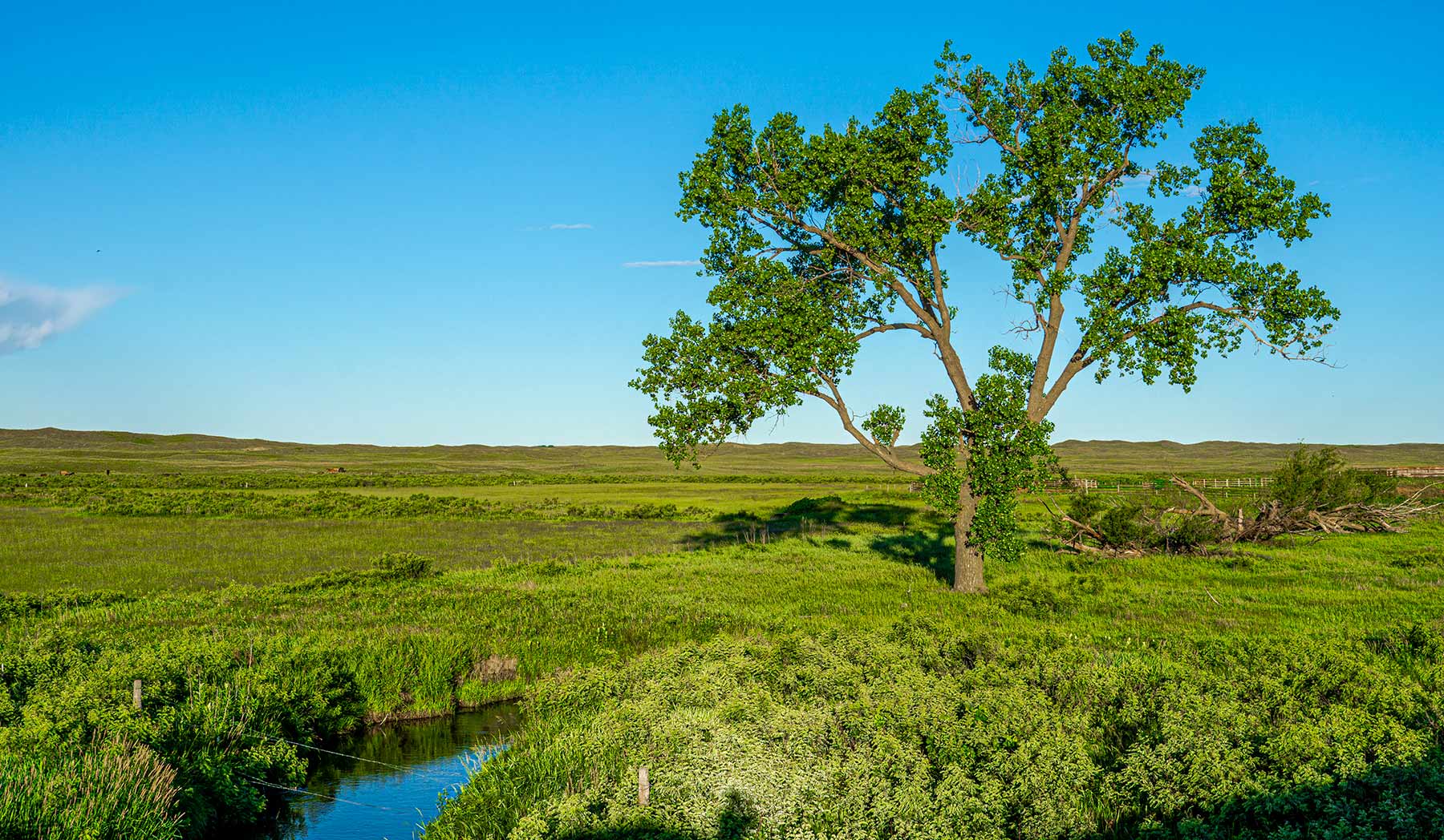 Minnechaduza Creek Ranch property picture 68 of 100