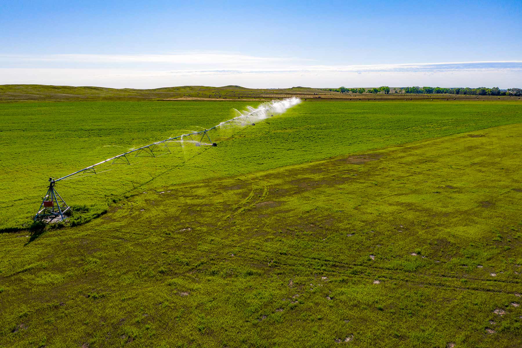 Minnechaduza Creek Ranch property picture 43 of 100
