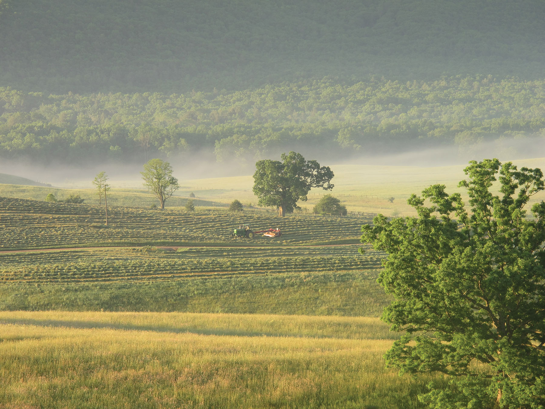 Cloverdale Farm property picture 56 of 90