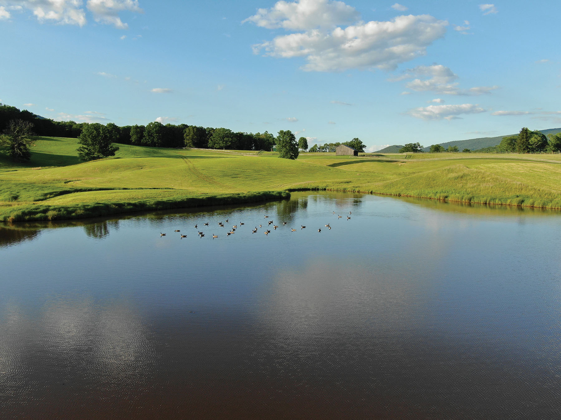Cloverdale Farm Sold Virginia Hall and Hall