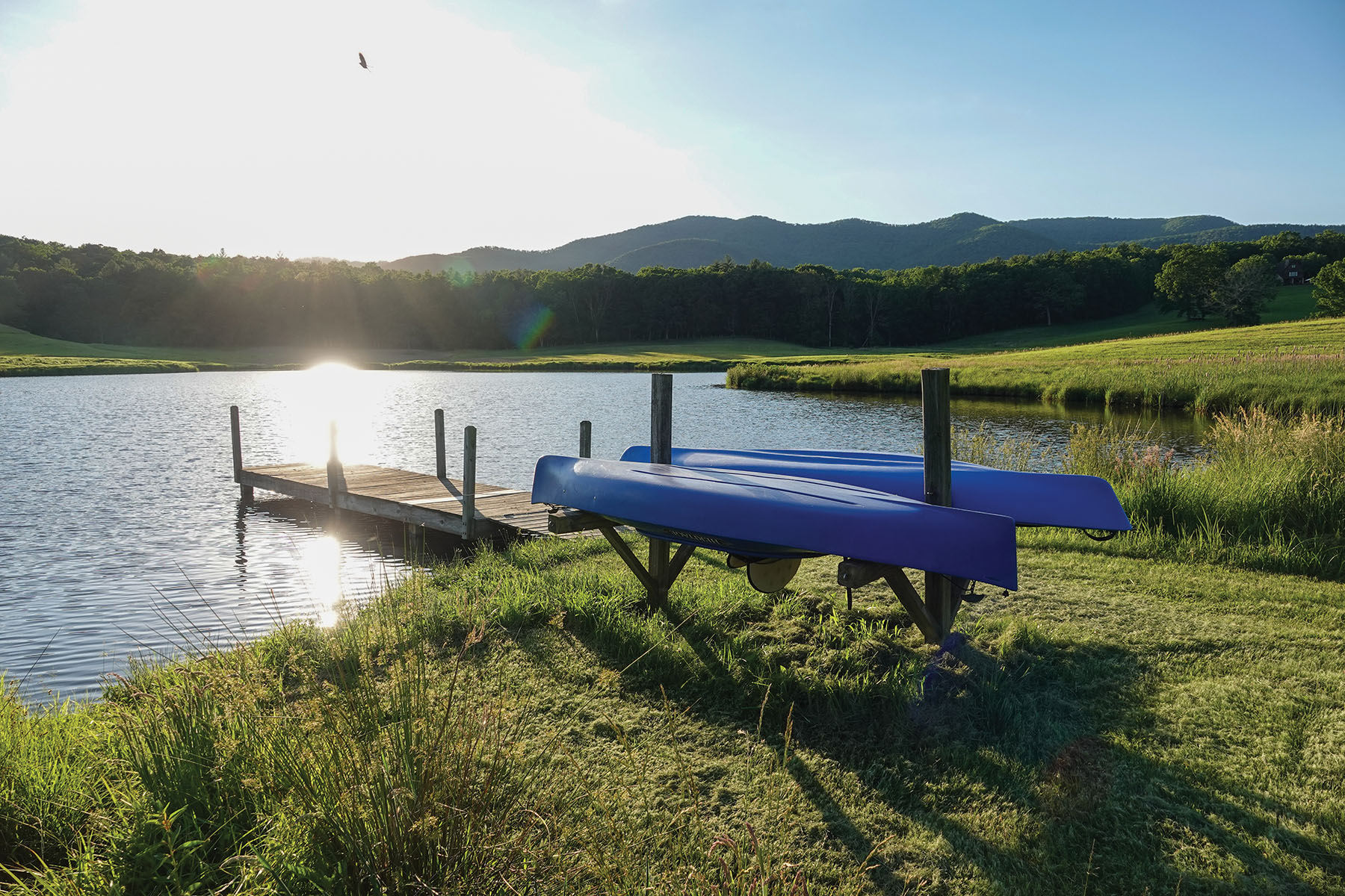 Cloverdale Farm Sold Virginia Hall and Hall