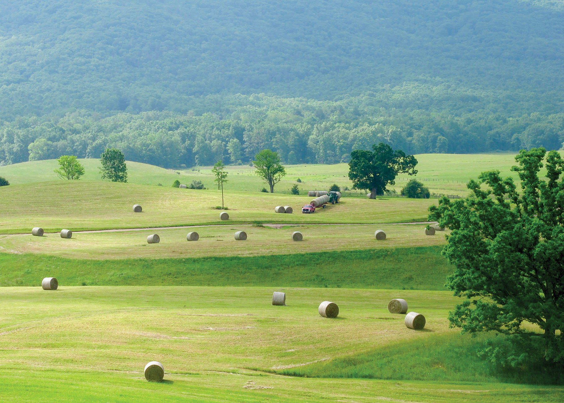 Cloverdale Farm property picture 58 of 90