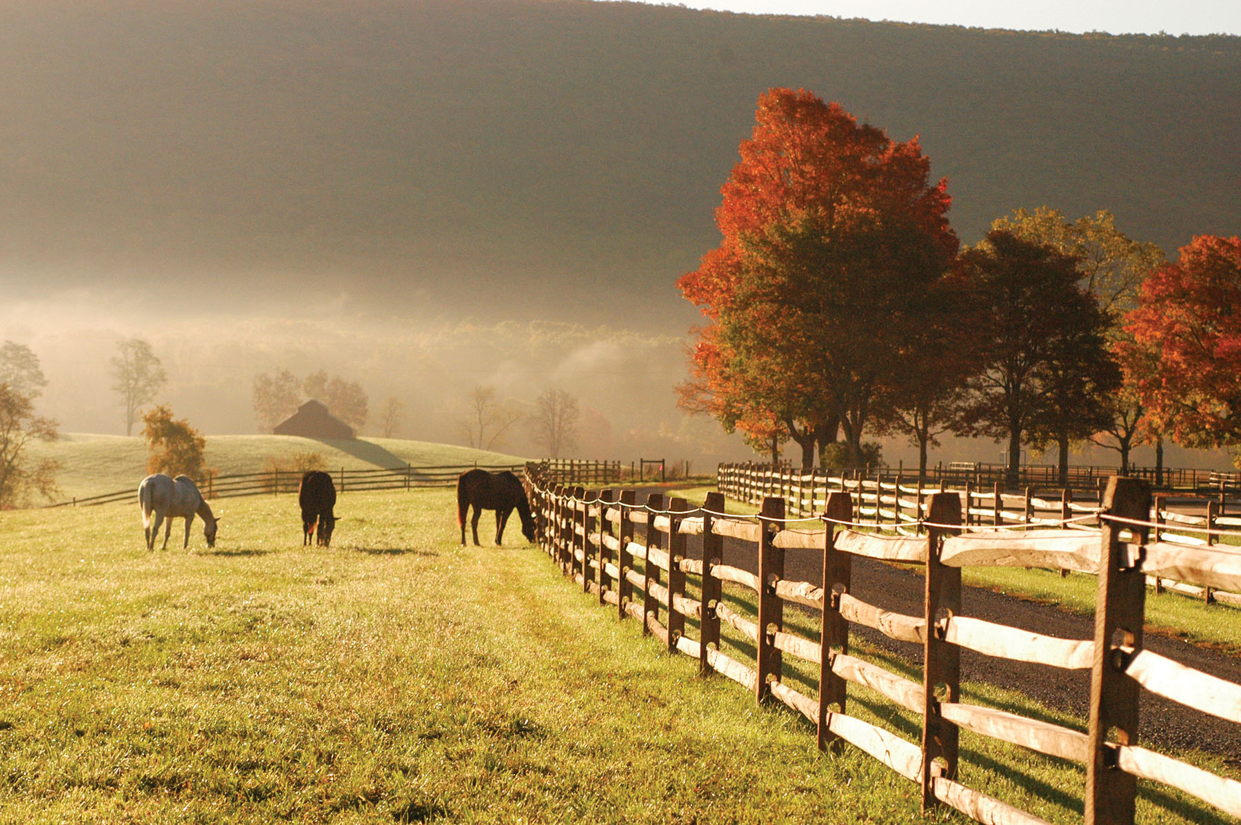 Cloverdale Farm Sold Virginia Hall and Hall
