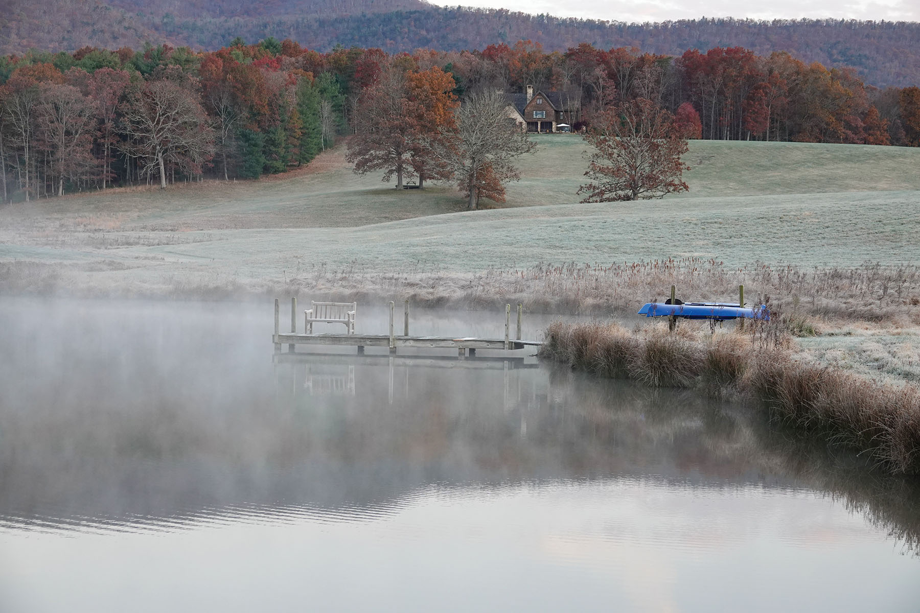 Cloverdale Farm Sold Virginia Hall and Hall