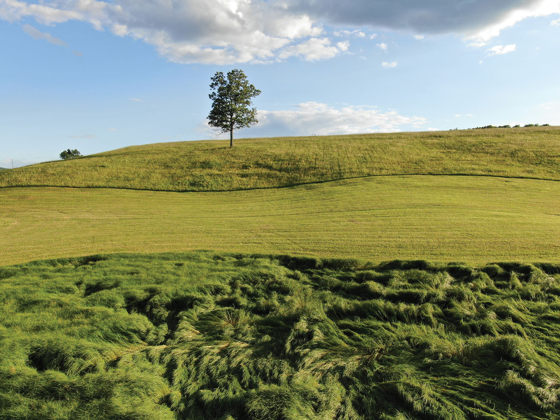 Cloverdale Farm property picture 72 of 90