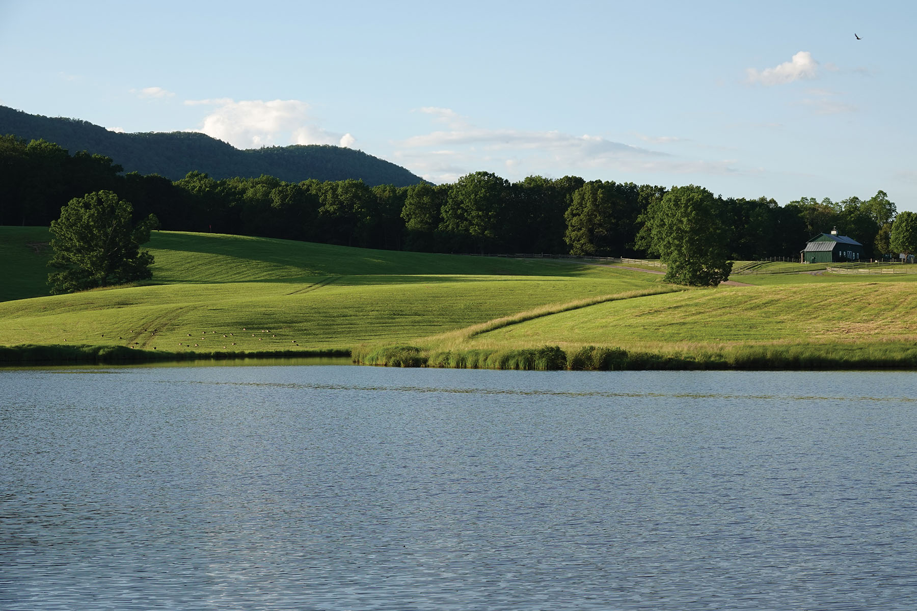 Cloverdale Farm property picture 76 of 90