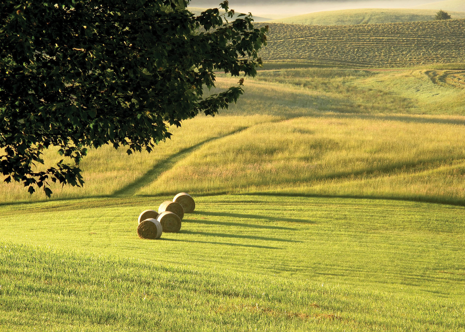 Cloverdale Farm Sold Virginia Hall and Hall