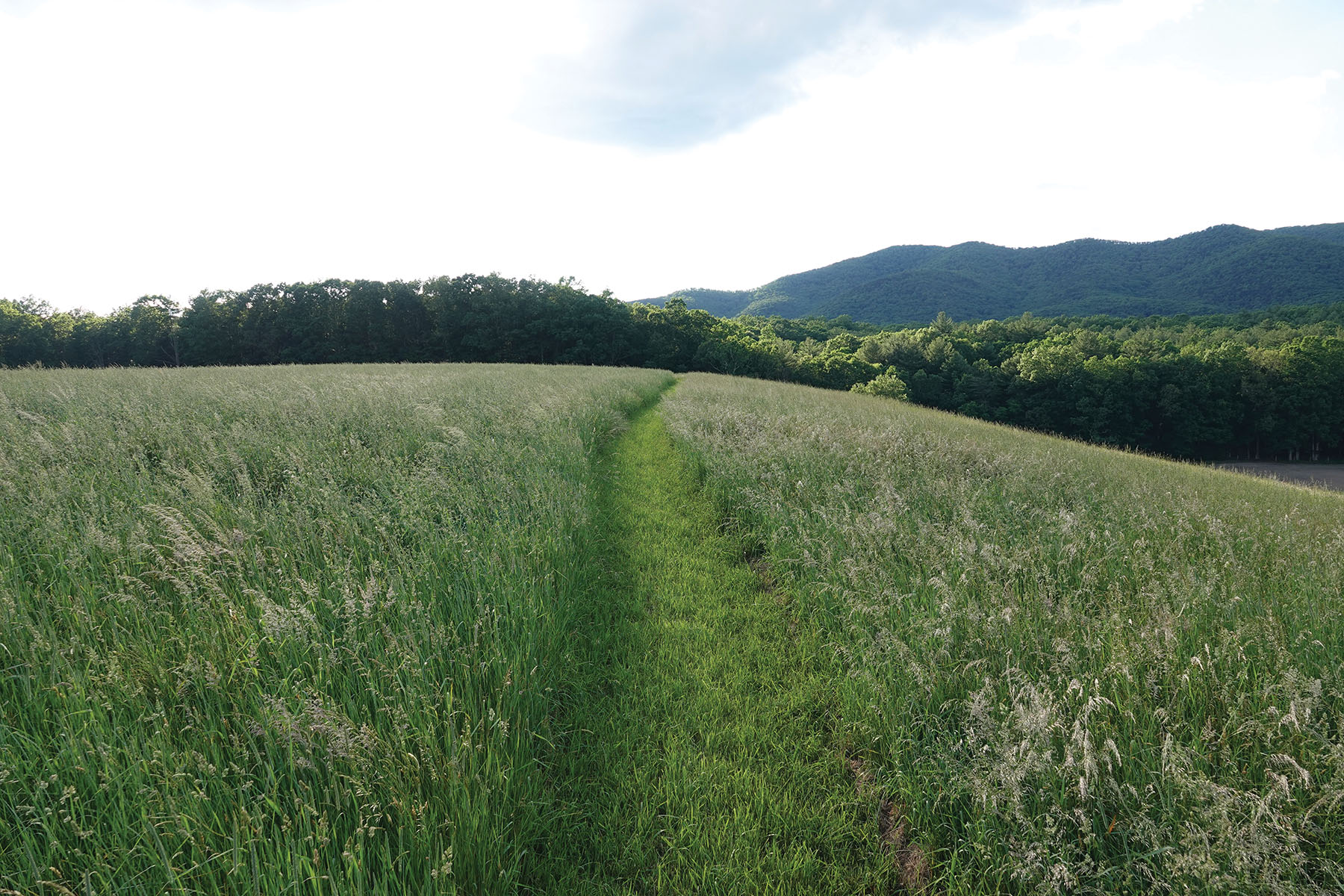 Cloverdale Farm property picture 79 of 90