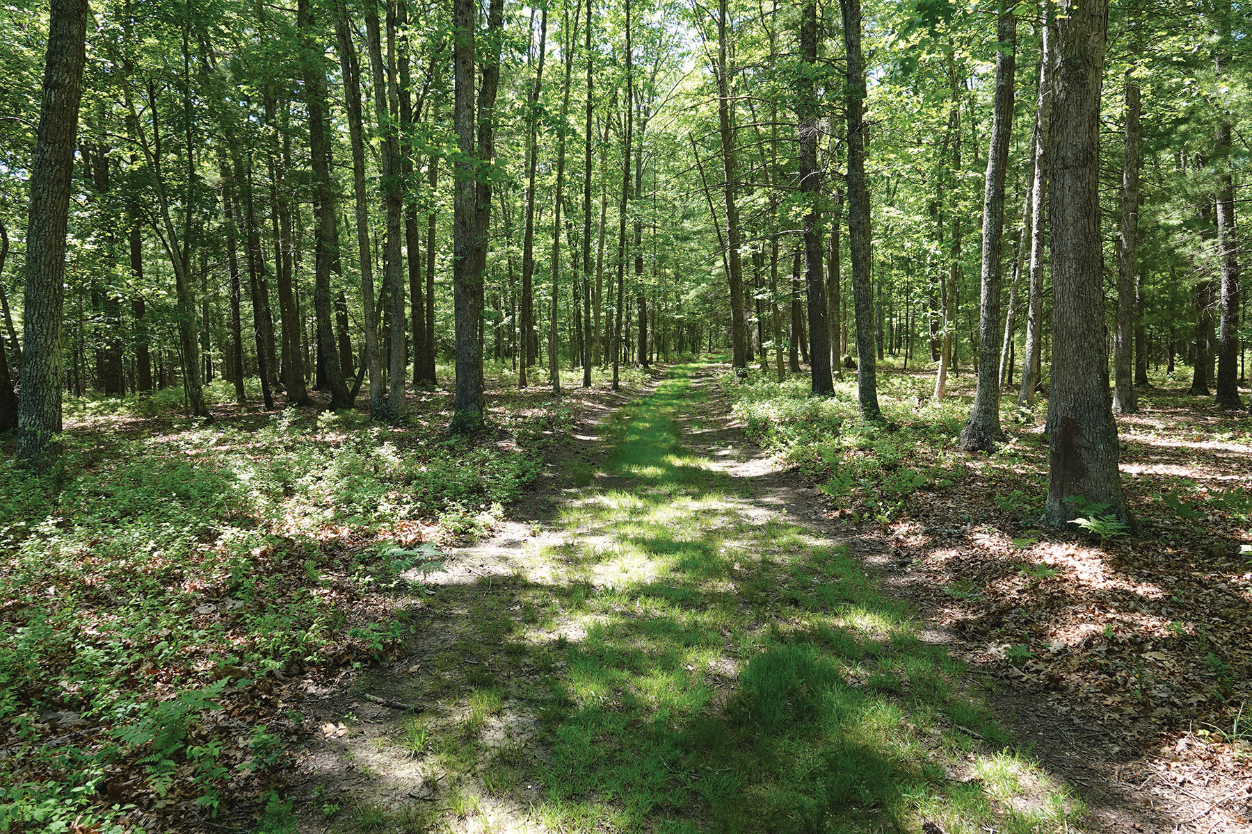 Cloverdale Farm property picture 80 of 90