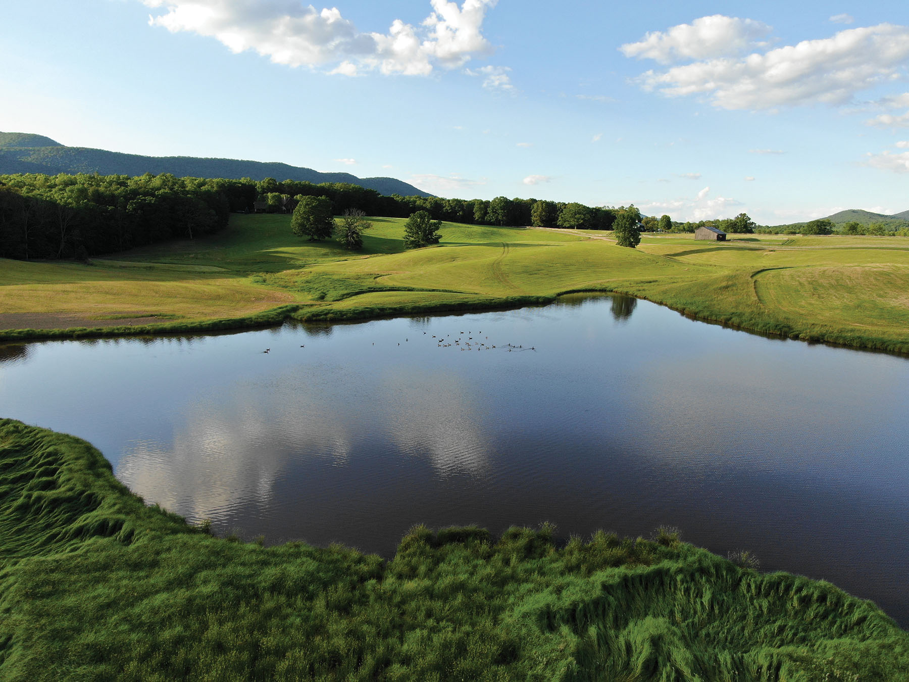 Cloverdale Farm Sold Virginia Hall and Hall
