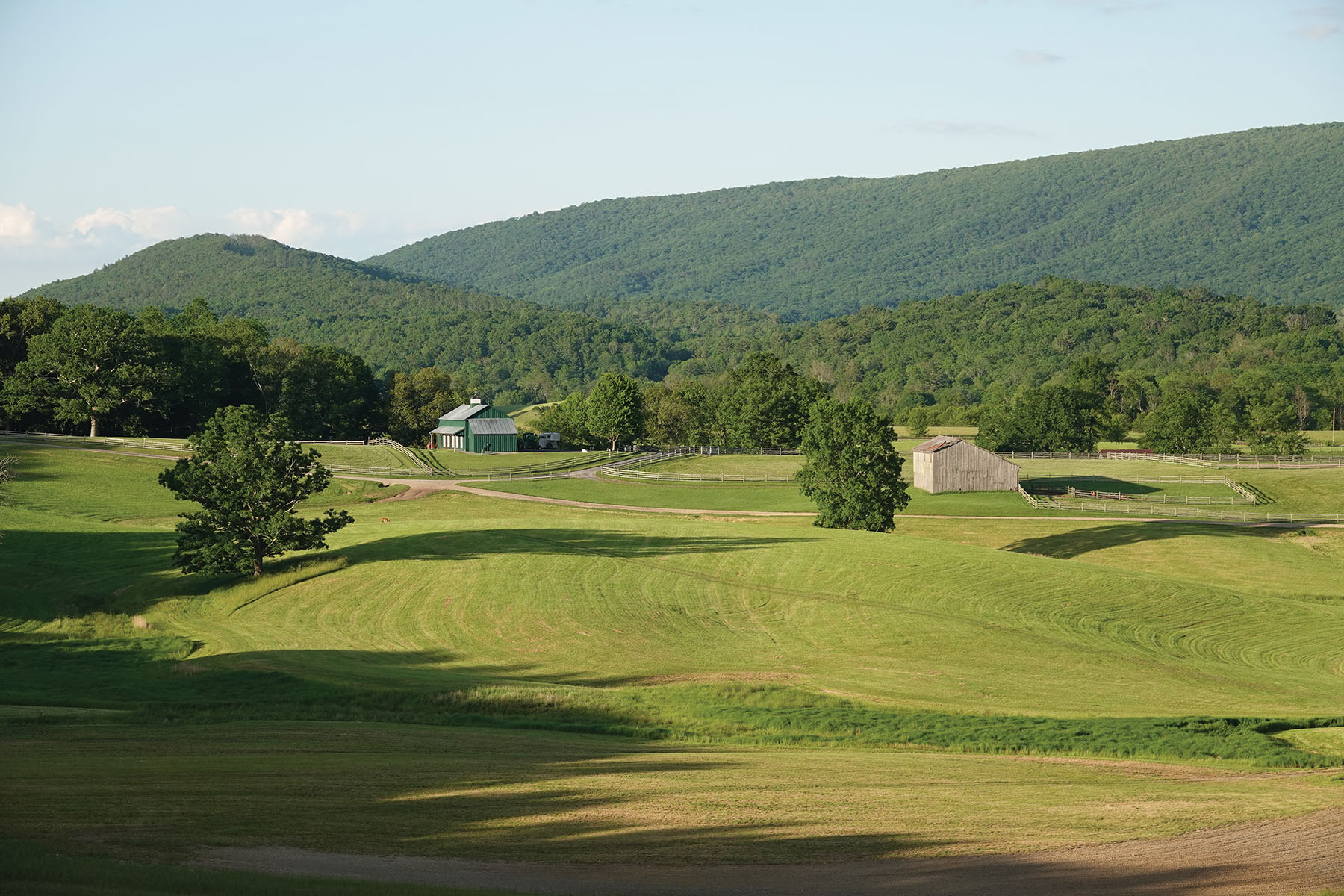 Cloverdale Farm property picture 83 of 90