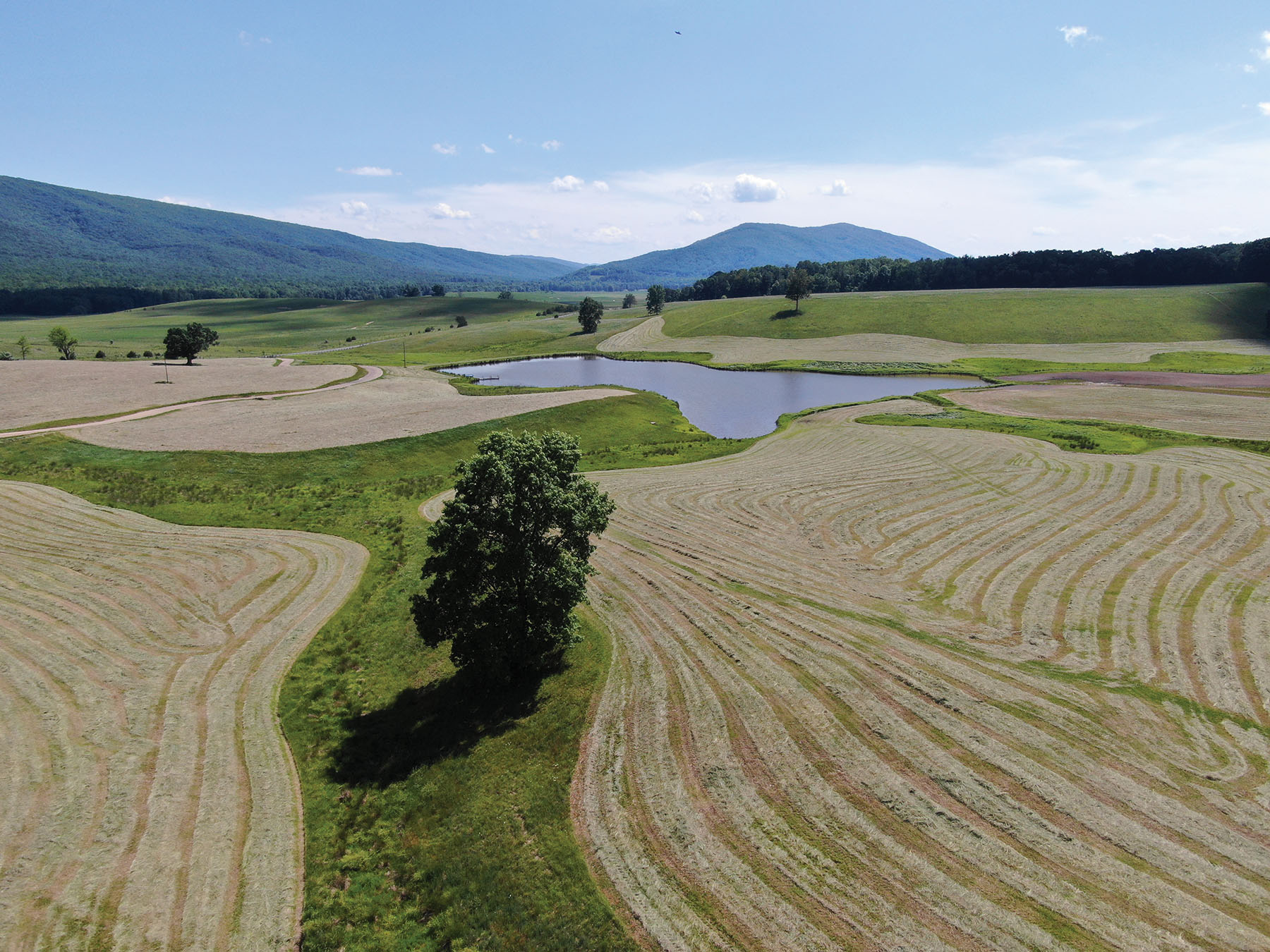 Cloverdale Farm Sold Virginia Hall and Hall