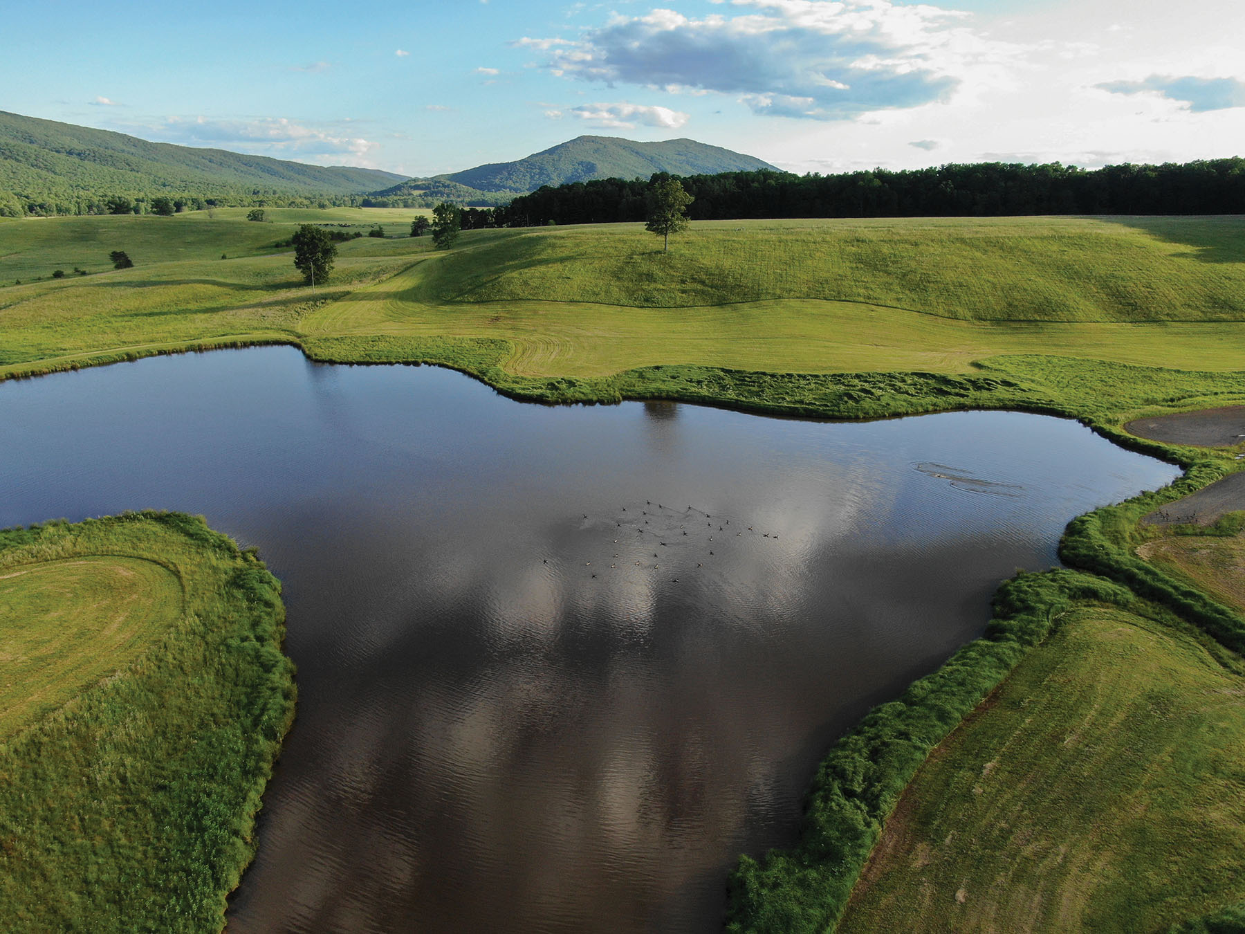 Cloverdale Farm property picture 73 of 90