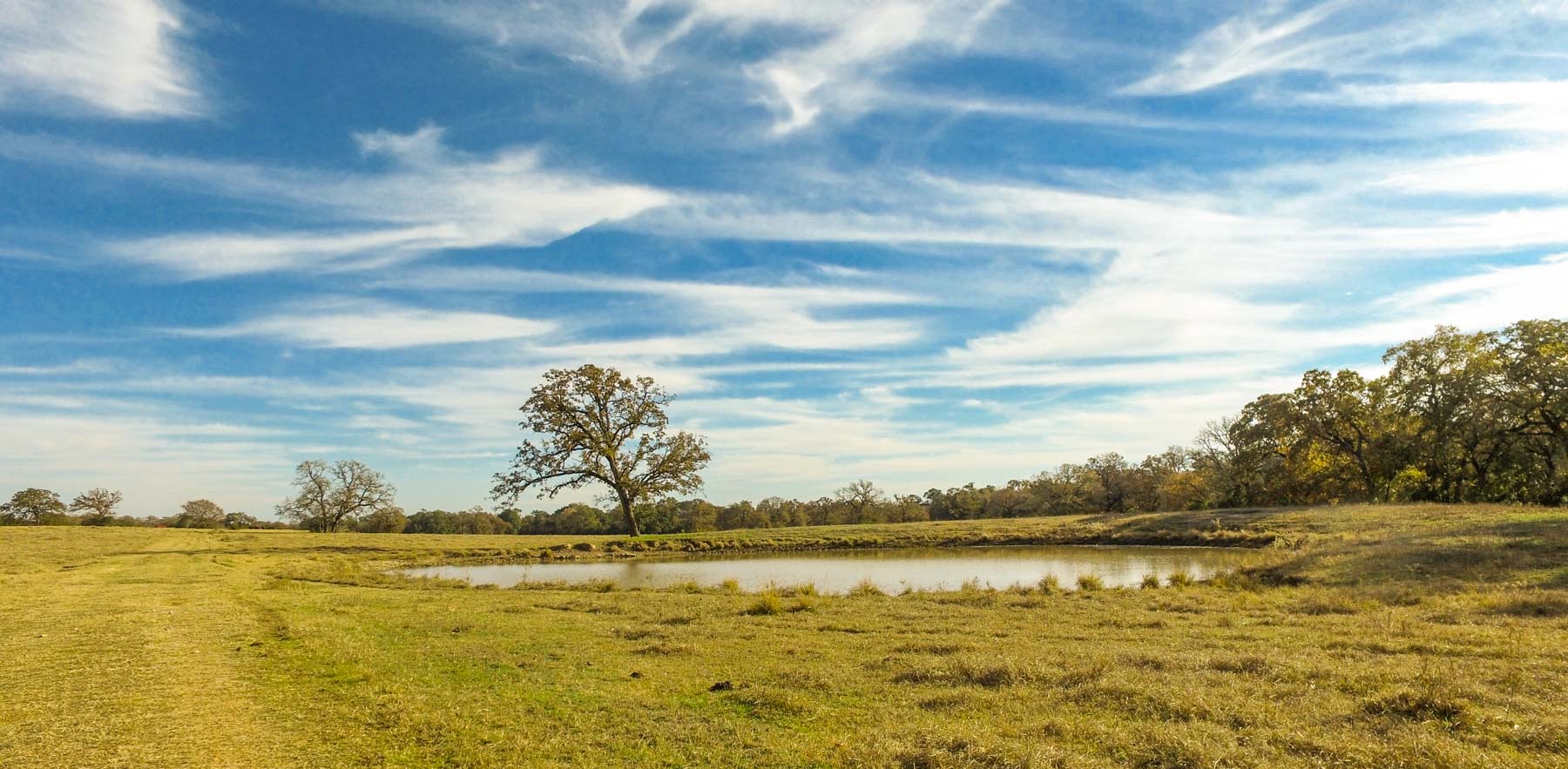 Pooles Creek Ranch property picture 10 of 35