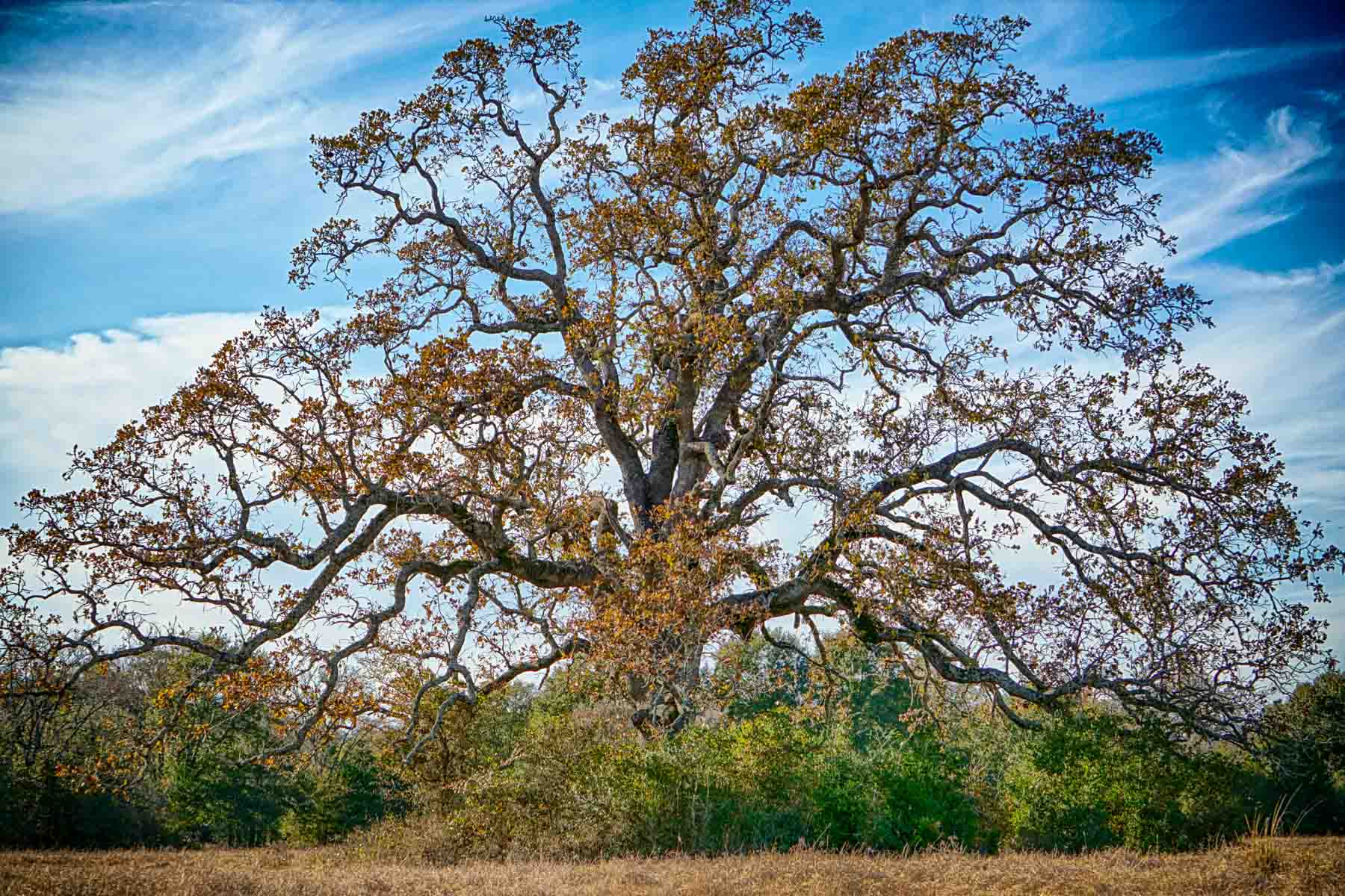 Pooles Creek Ranch property picture 33 of 35
