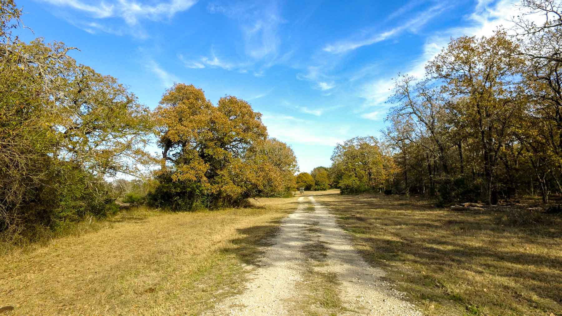 Pooles Creek Ranch property picture 9 of 35