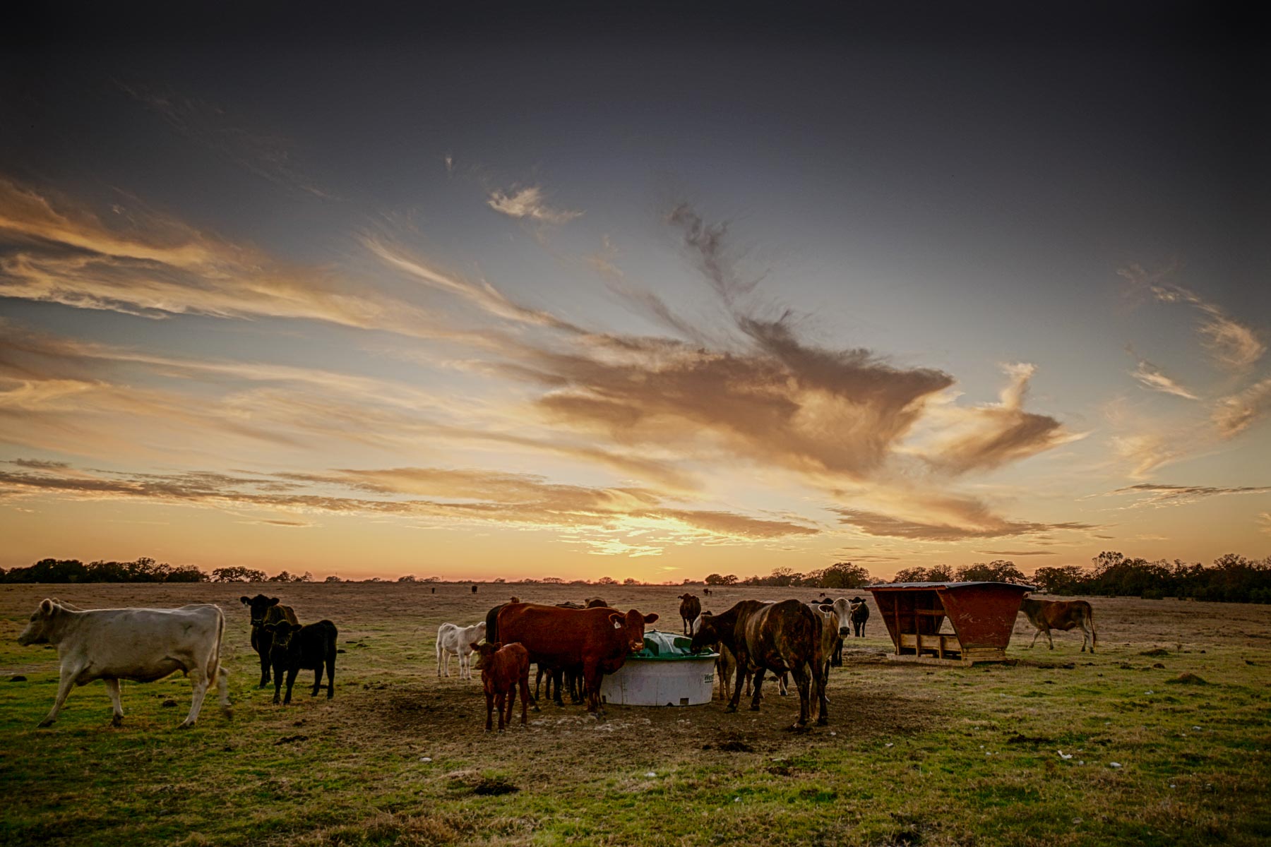 Pooles Creek Ranch property picture 35 of 35