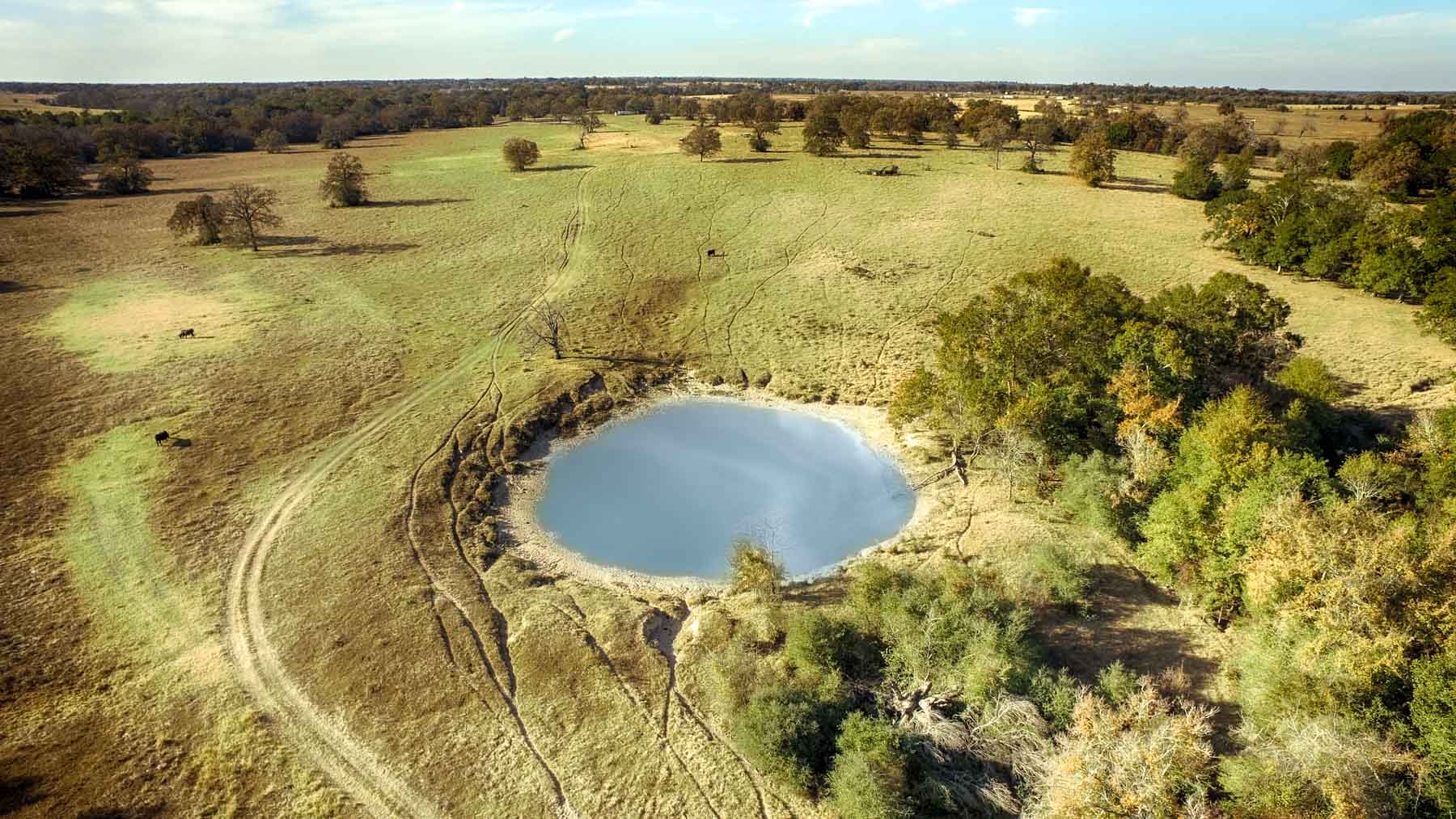 Pooles Creek Ranch property picture 19 of 35