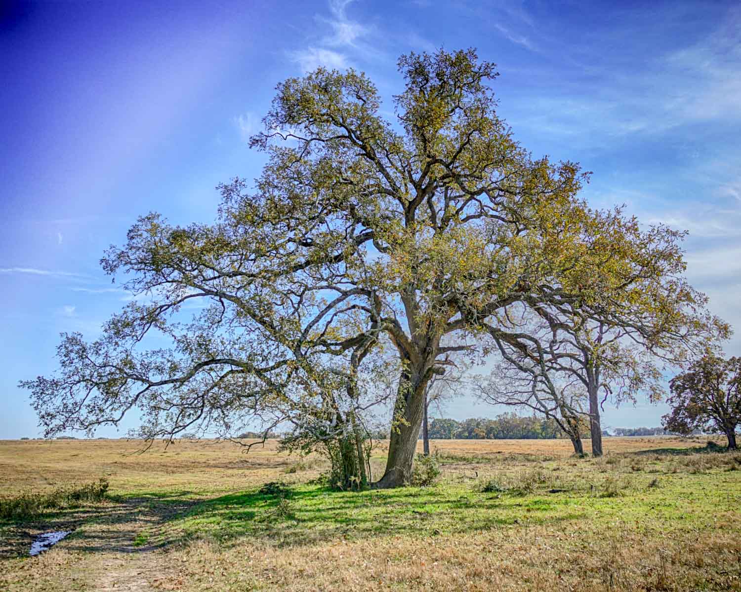 Pooles Creek Ranch property picture 26 of 35