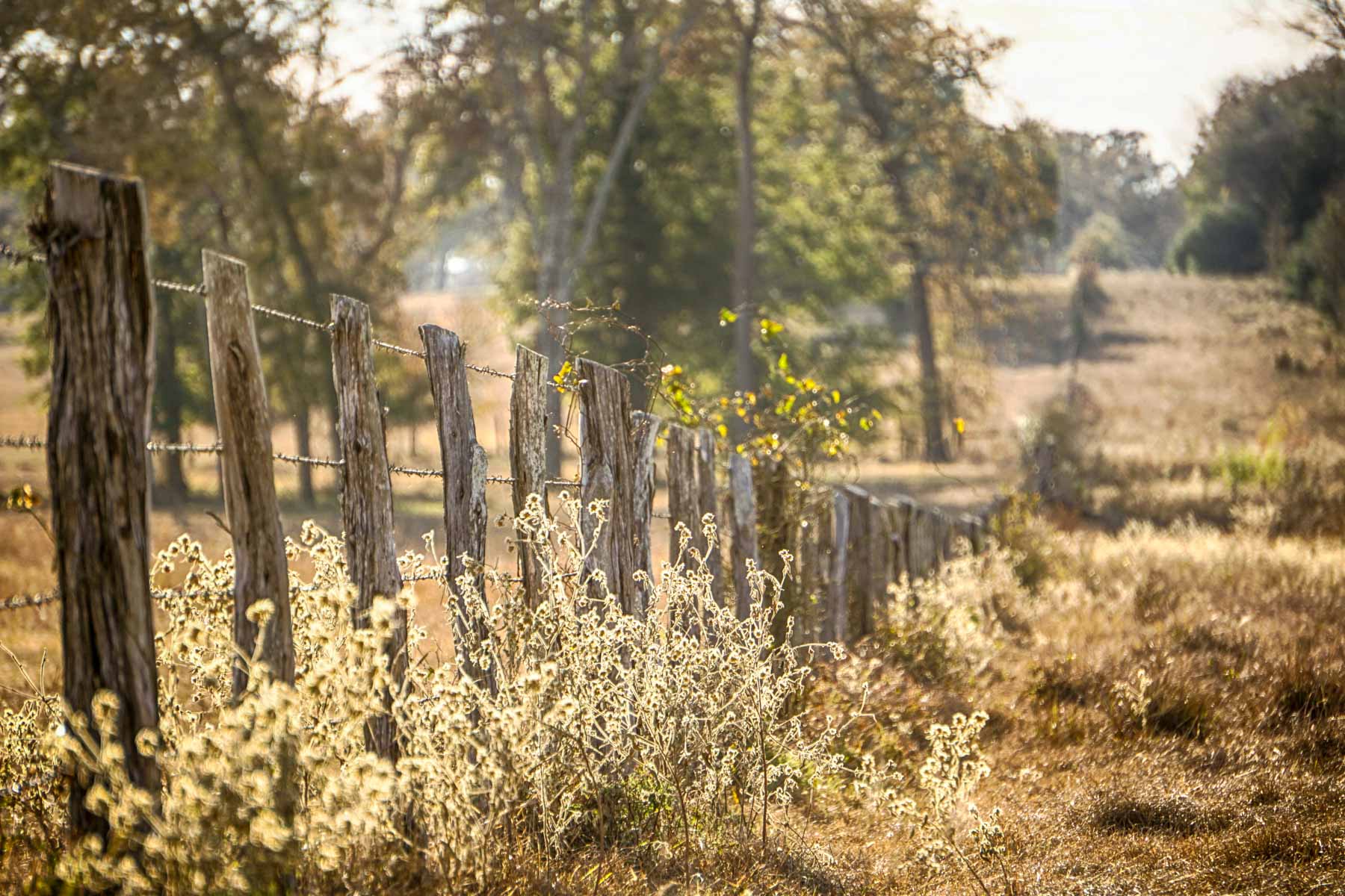 Pooles Creek Ranch property picture 32 of 35