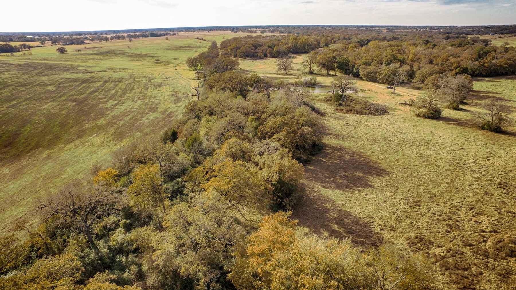 Pooles Creek Ranch property picture 17 of 35