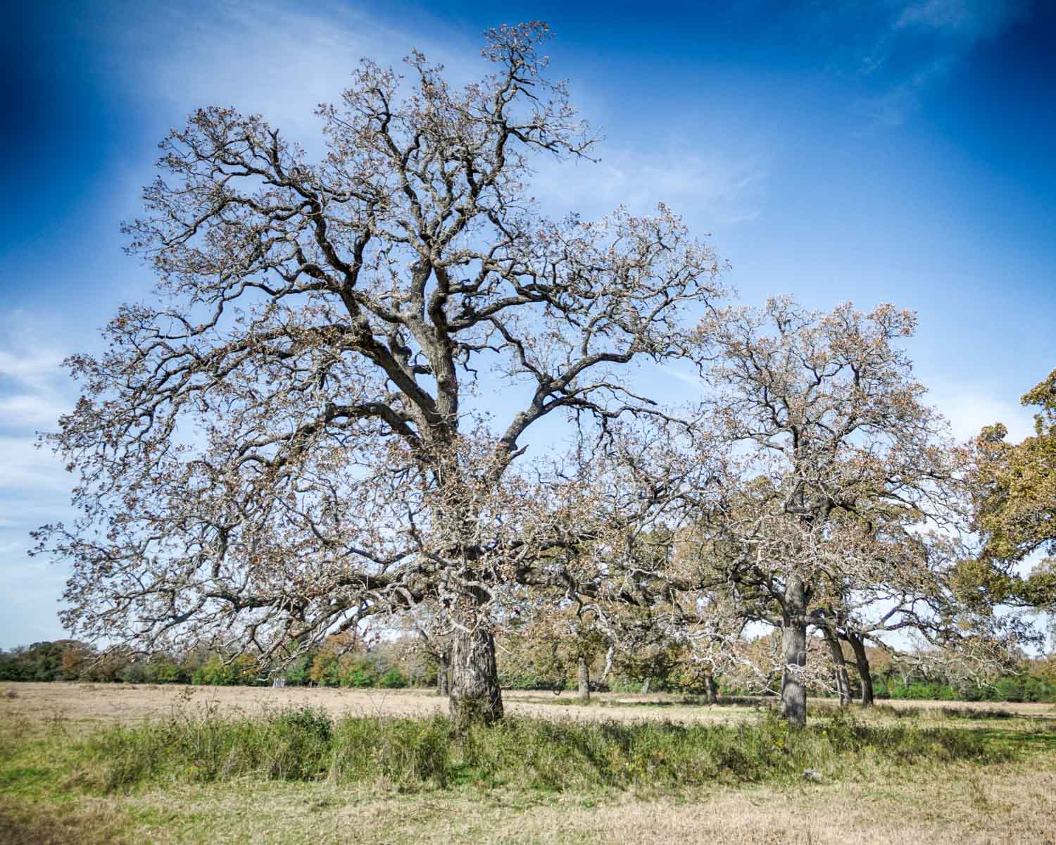 Pooles Creek Ranch property picture 25 of 35