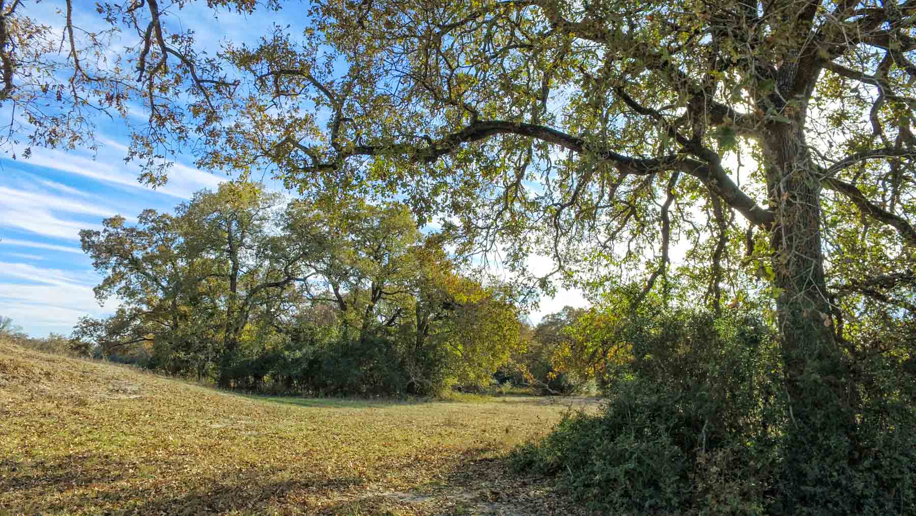 Pooles Creek Ranch property picture 12 of 35