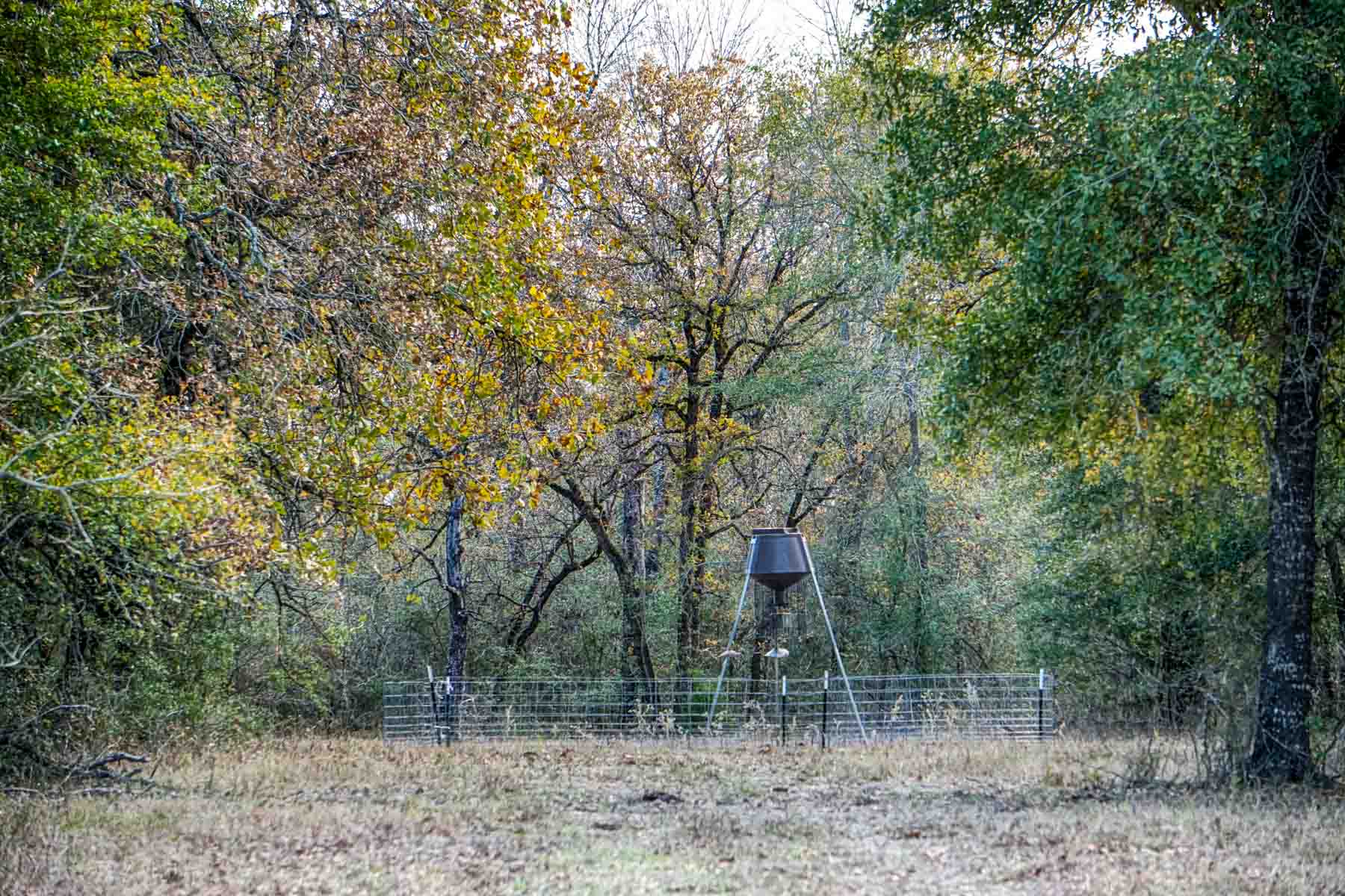 Pooles Creek Ranch property picture 34 of 35