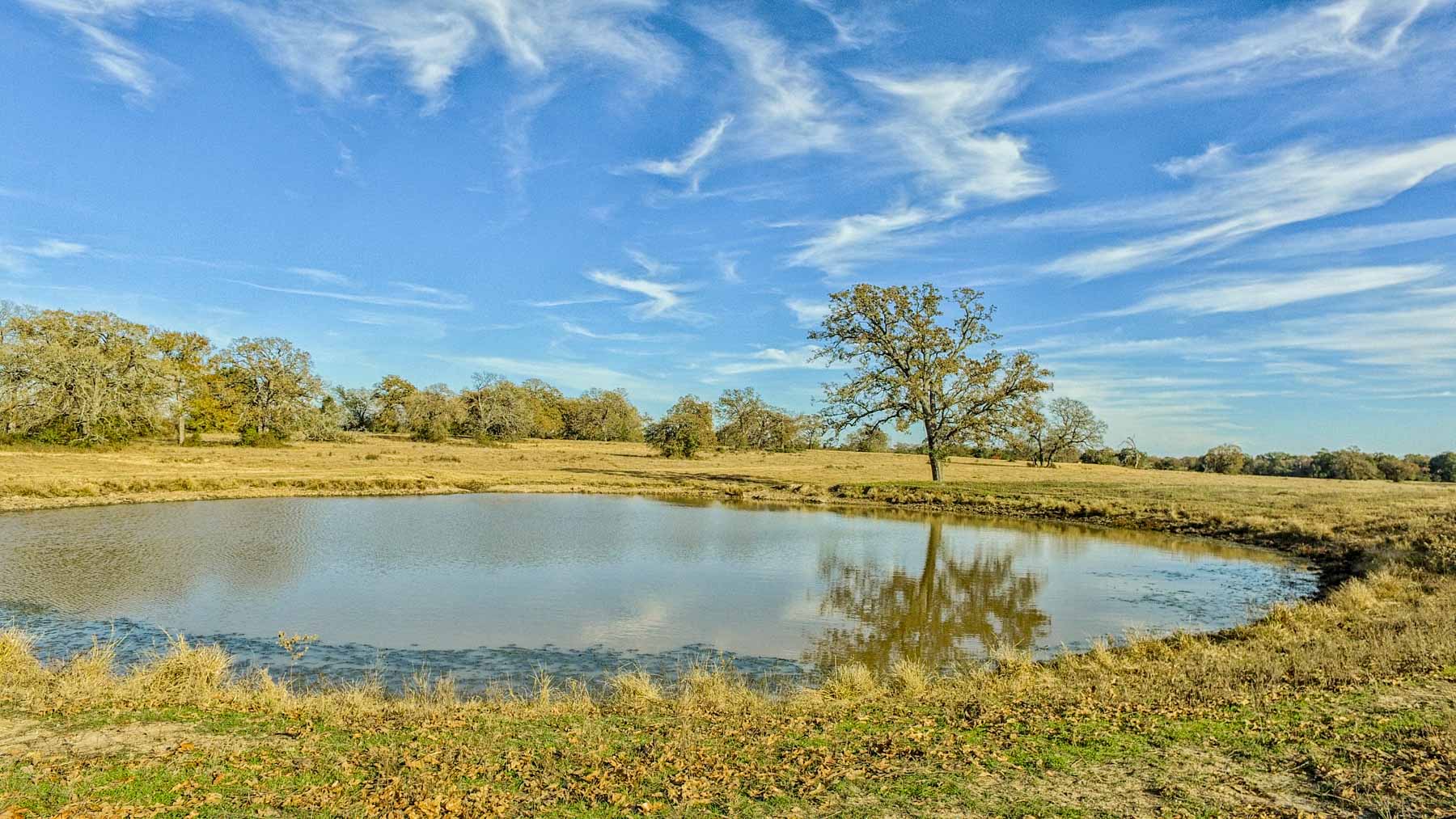 Pooles Creek Ranch property picture 14 of 35
