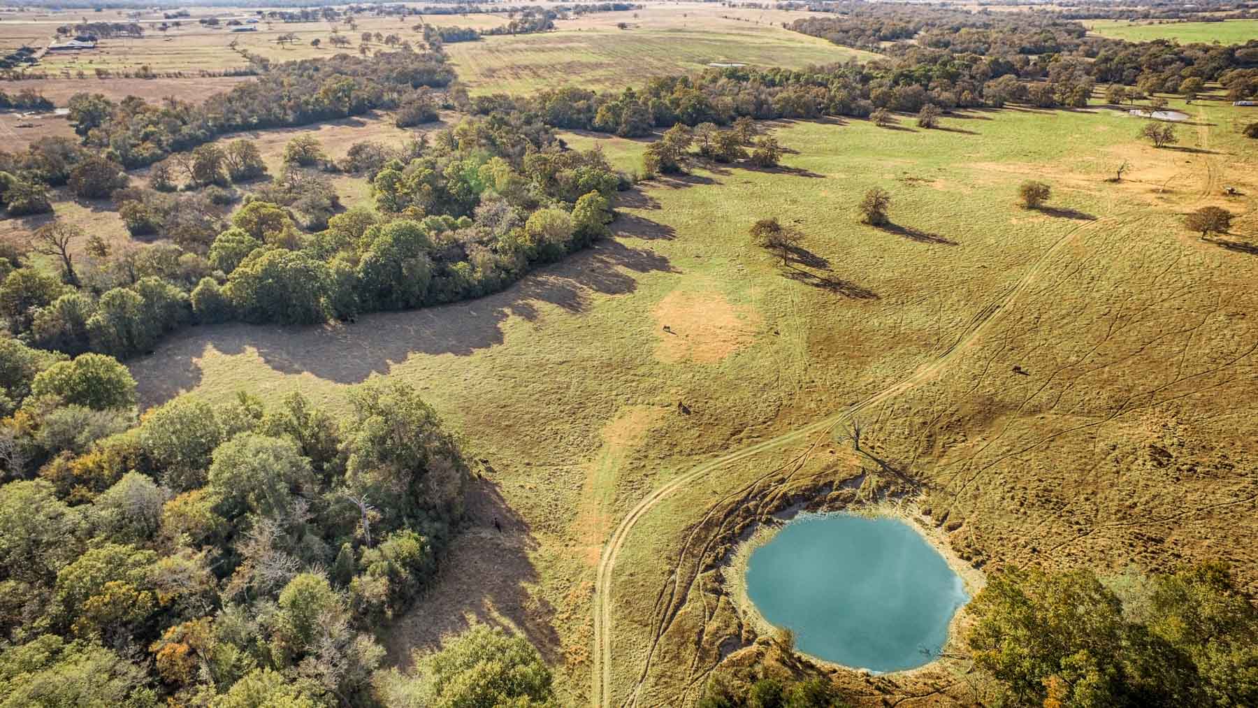 Pooles Creek Ranch property picture 3 of 35