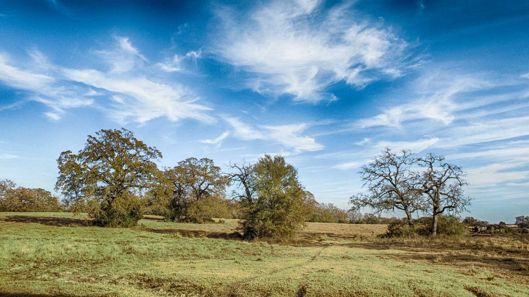 Pooles Creek Ranch property picture 18 of 35