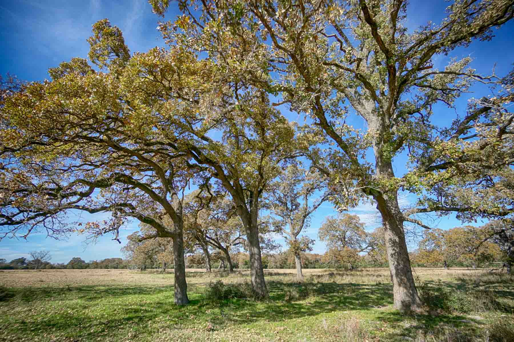 Pooles Creek Ranch property picture 29 of 35