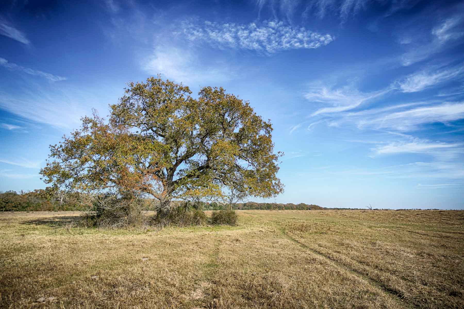Pooles Creek Ranch property picture 31 of 35