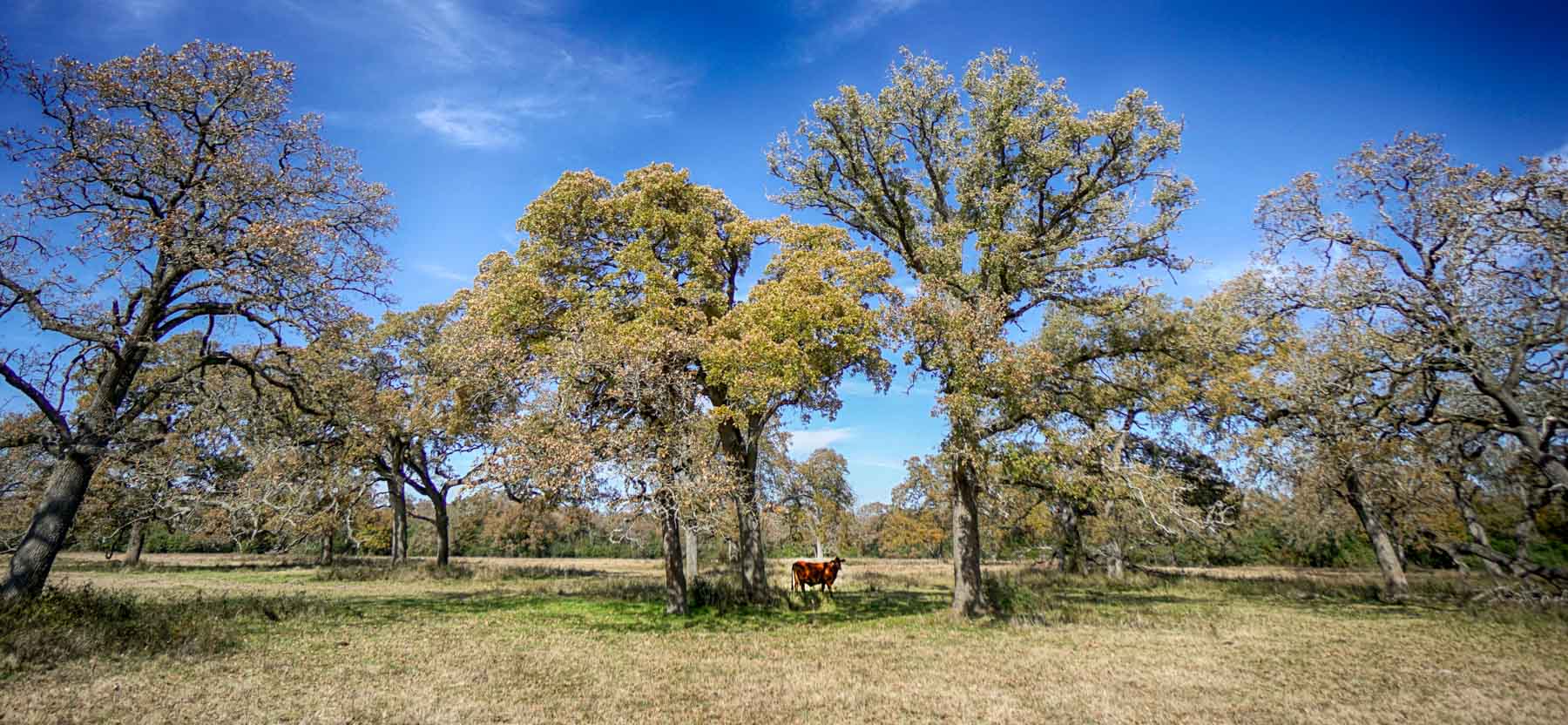 Pooles Creek Ranch property picture 28 of 35