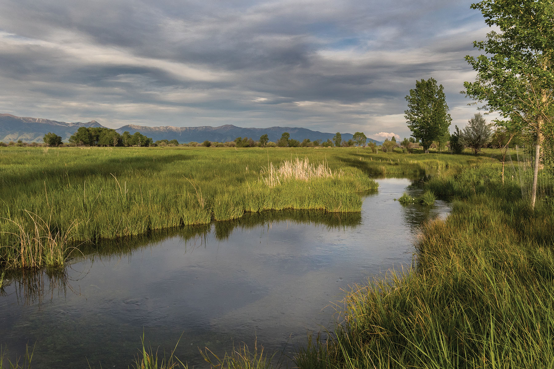 Bullrun Spring Creek Ranch property picture 48 of 66
