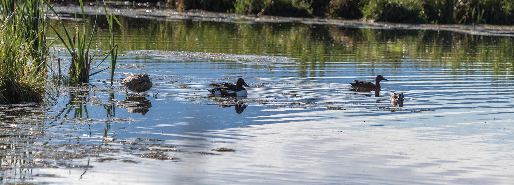 Bullrun Spring Creek Ranch property picture 38 of 66